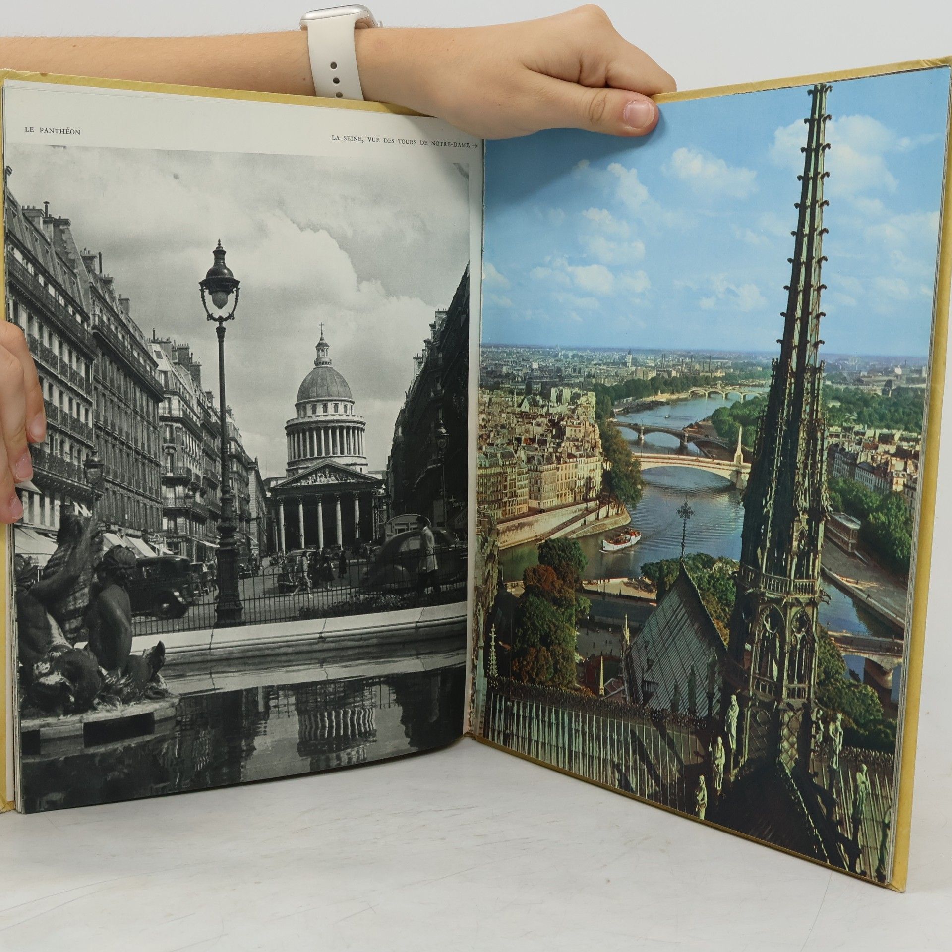 Patrice Molinard Paris