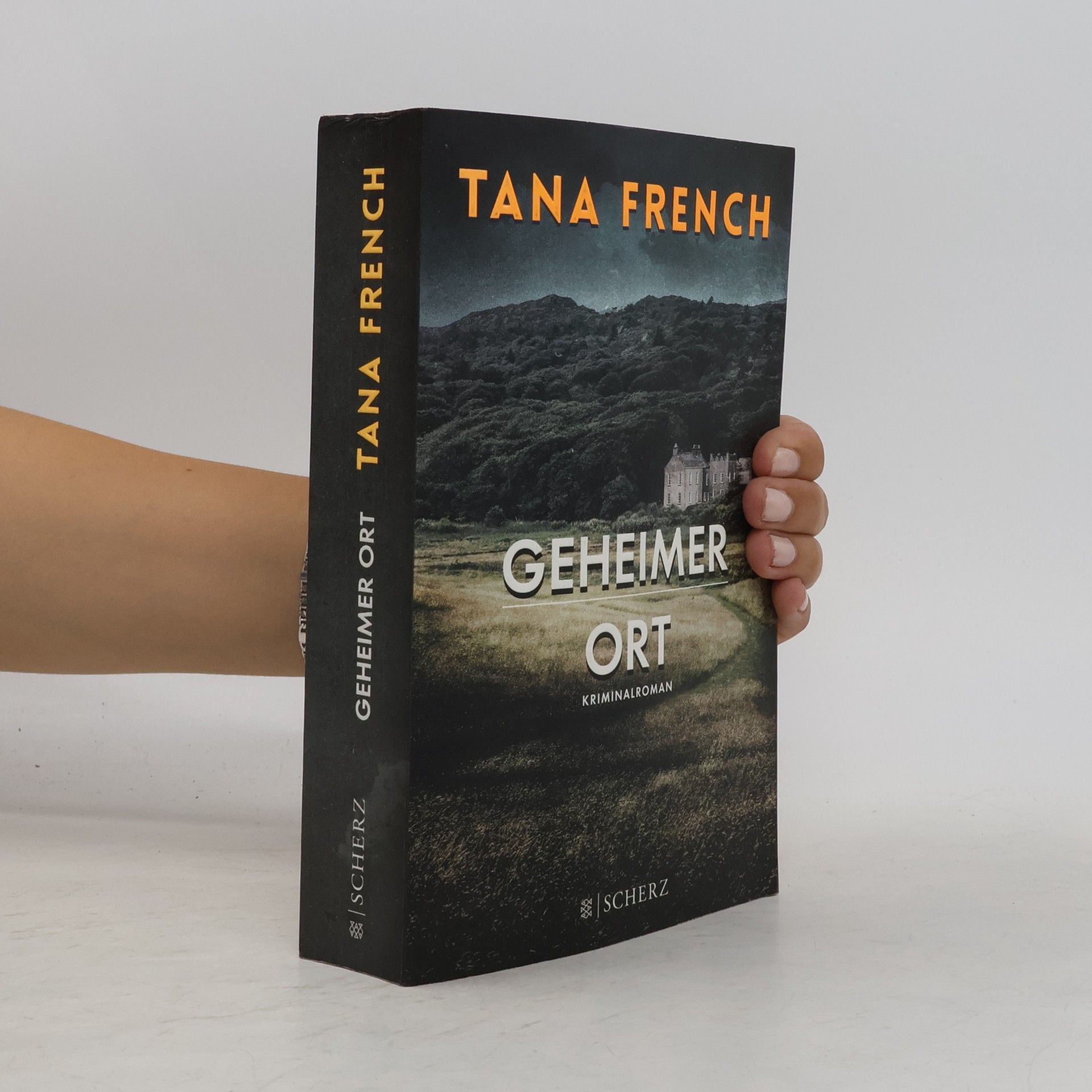 Tana French Geheimer Ort