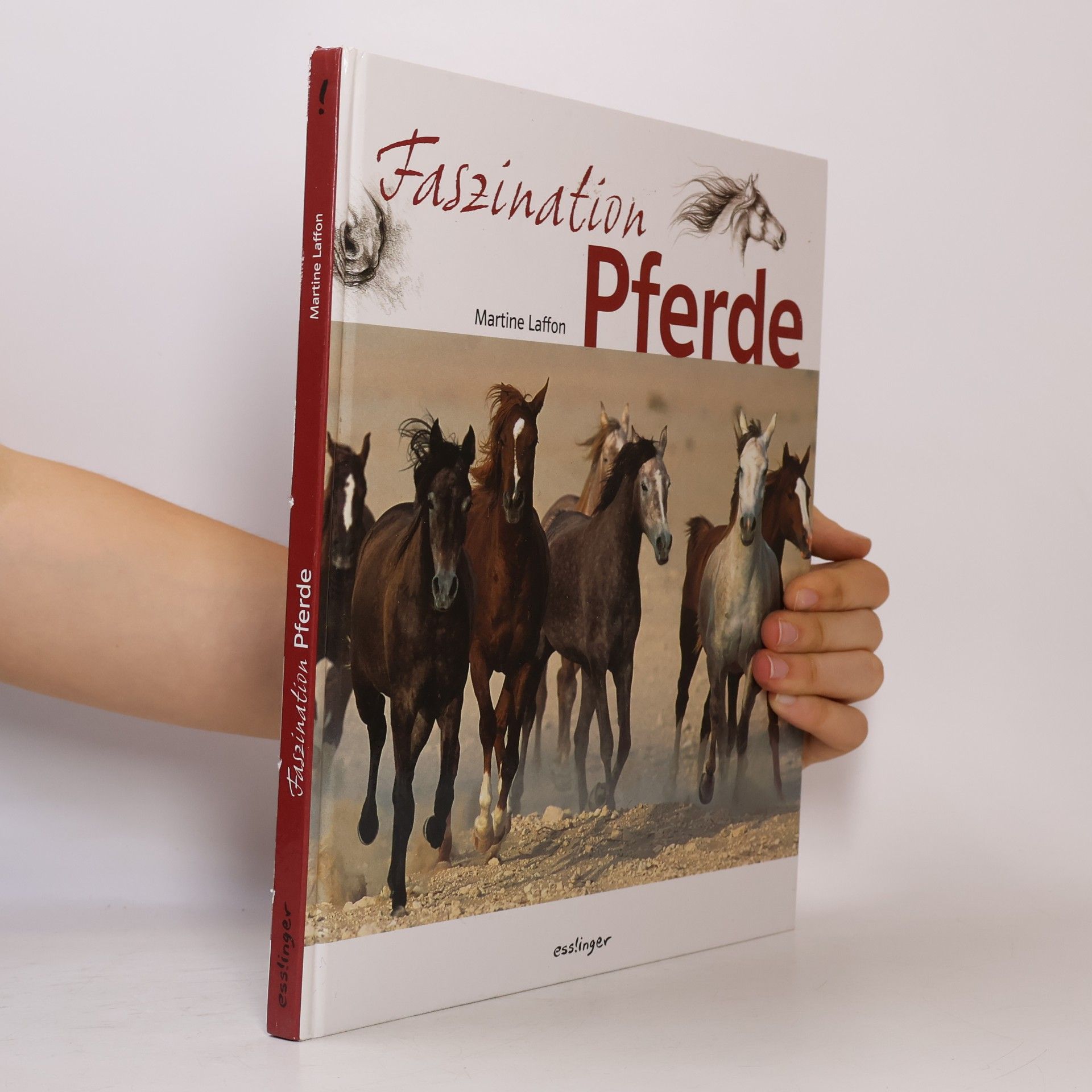 Martine Laffon Faszination Pferde