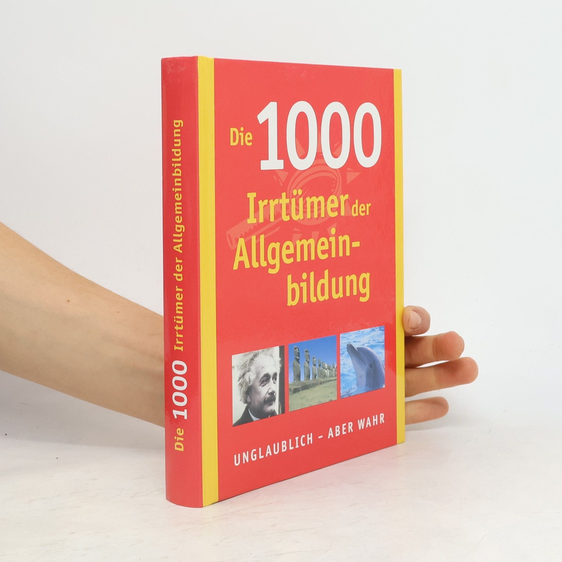 koelektiv Die 1000 Irrtümer der Allgemeinbildung