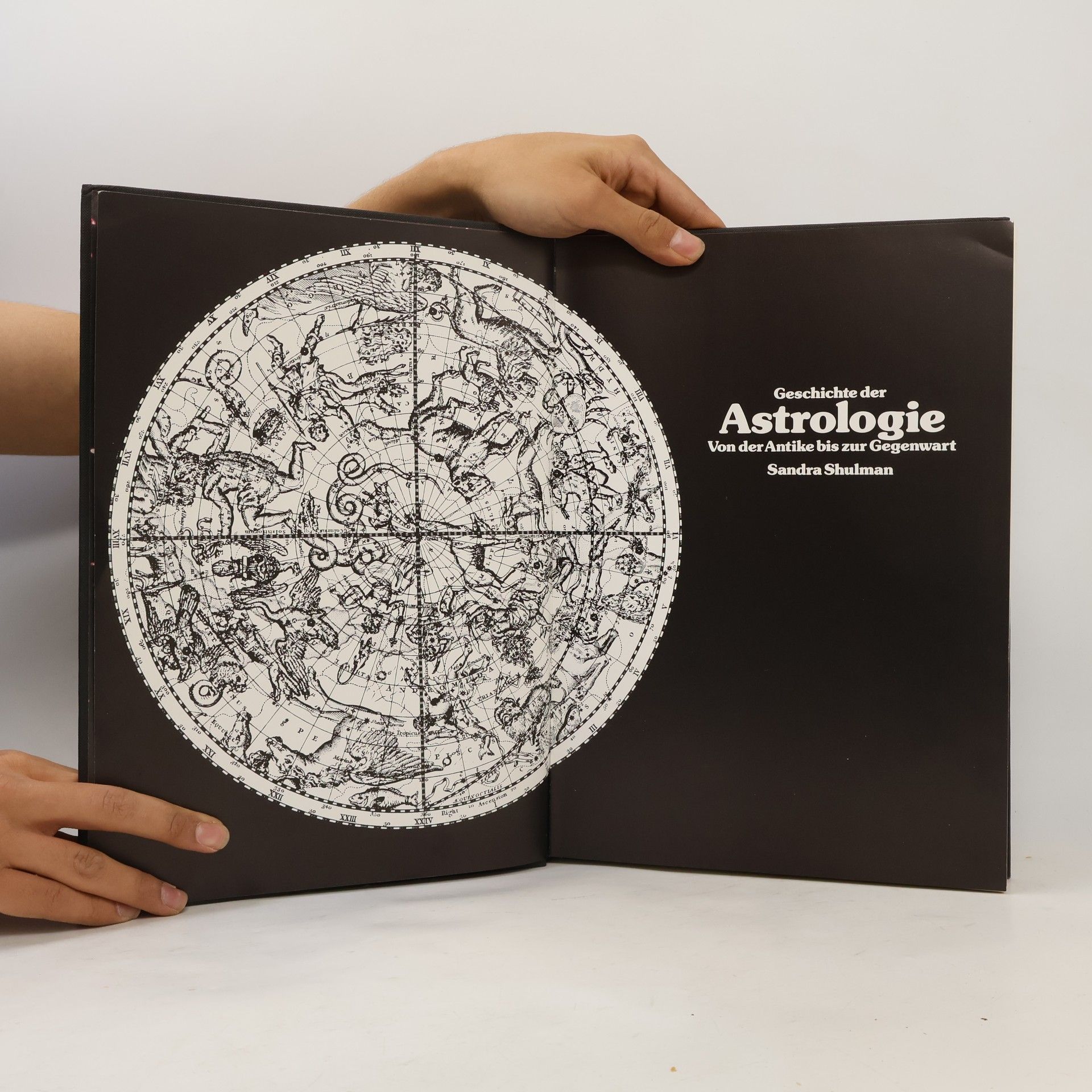Sandra Shulman Geschichte der Astrologie