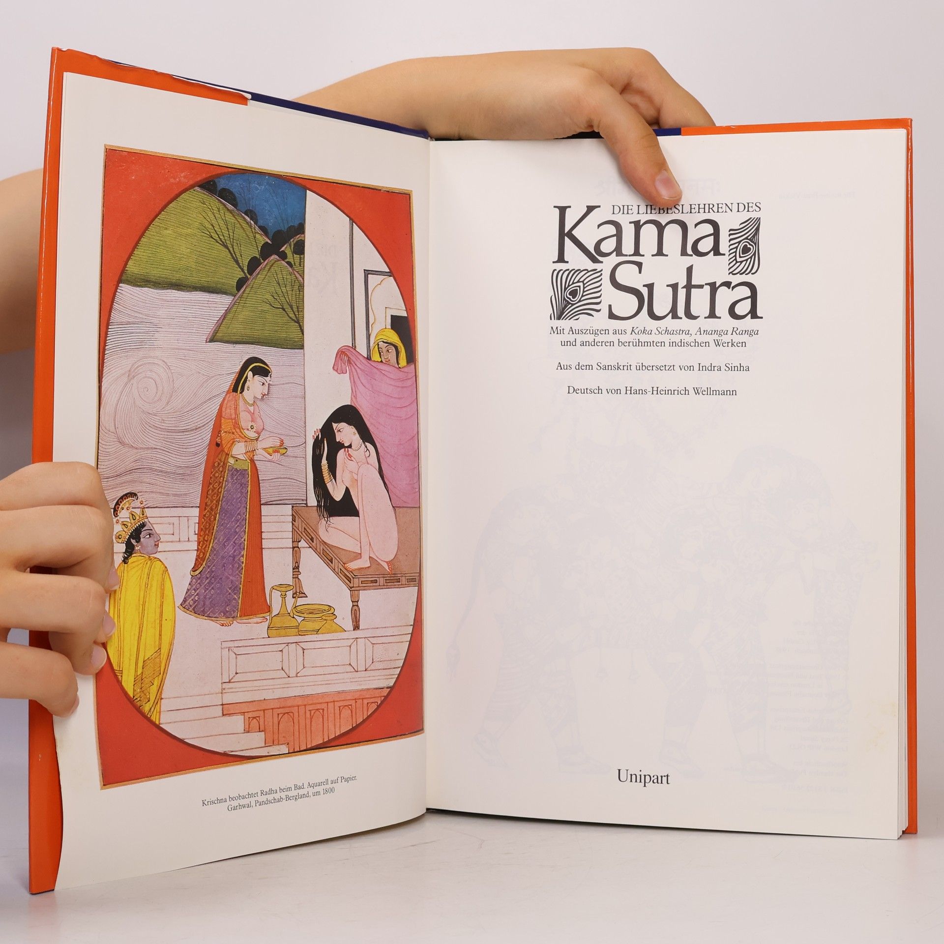 Indra Sinha Die Liebeslehren des Kama Sutra