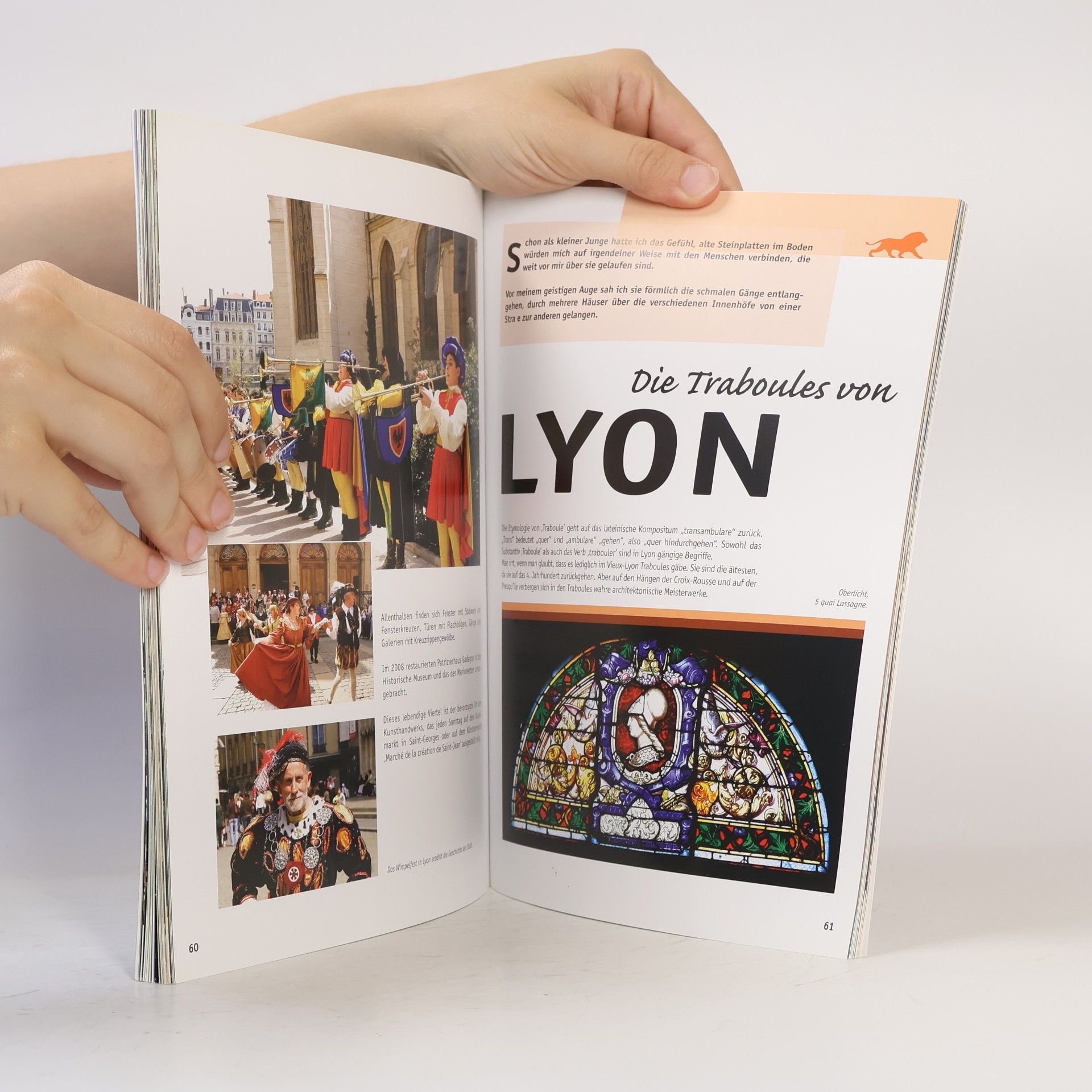 Gérald Gambier Découvrir Lyon et son patrimoine mondial