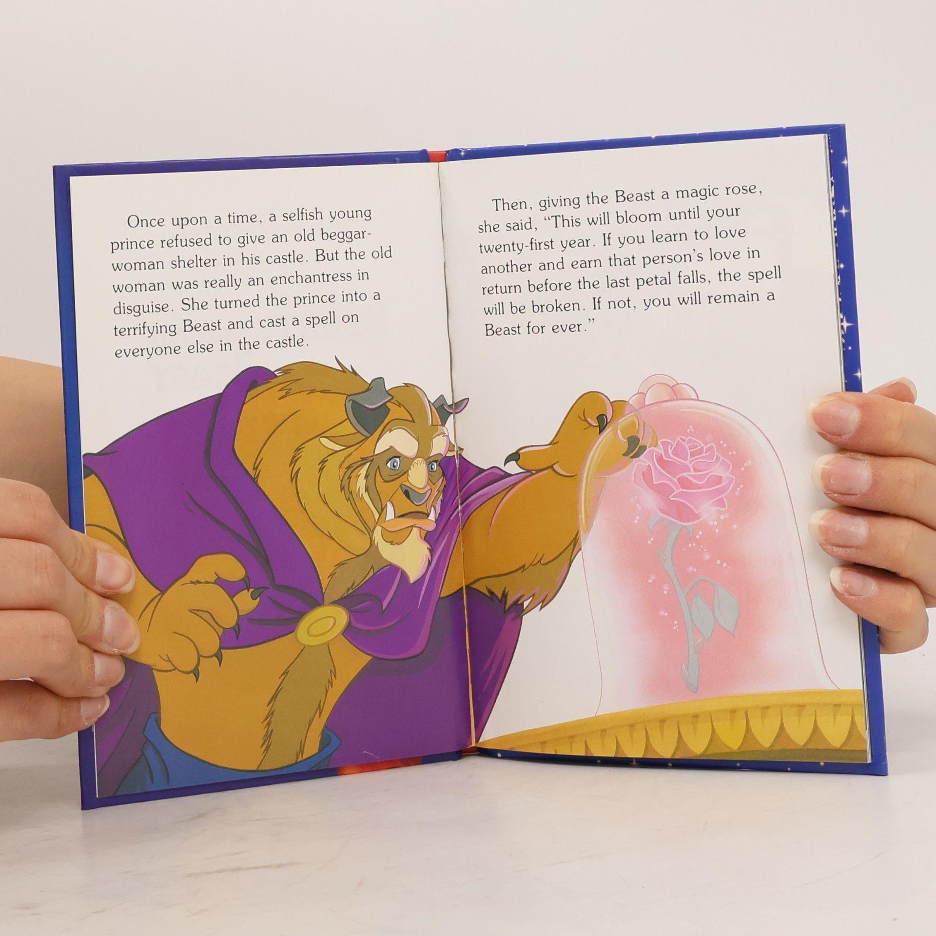 Walt Disney Company Beauty And The Beast