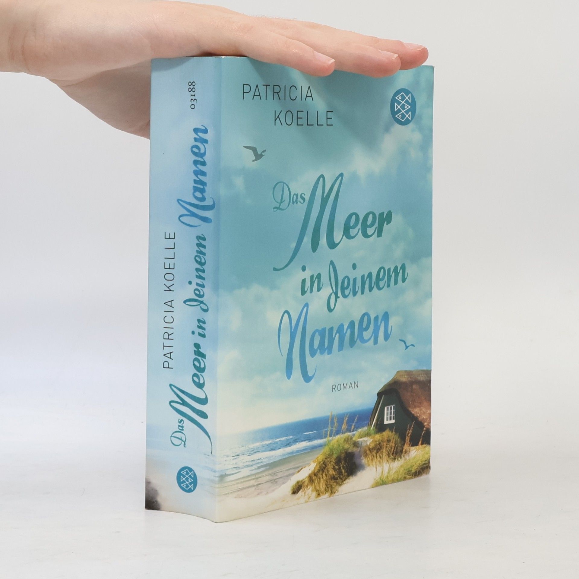Patricia Koelle Das Meer in deinem Namen