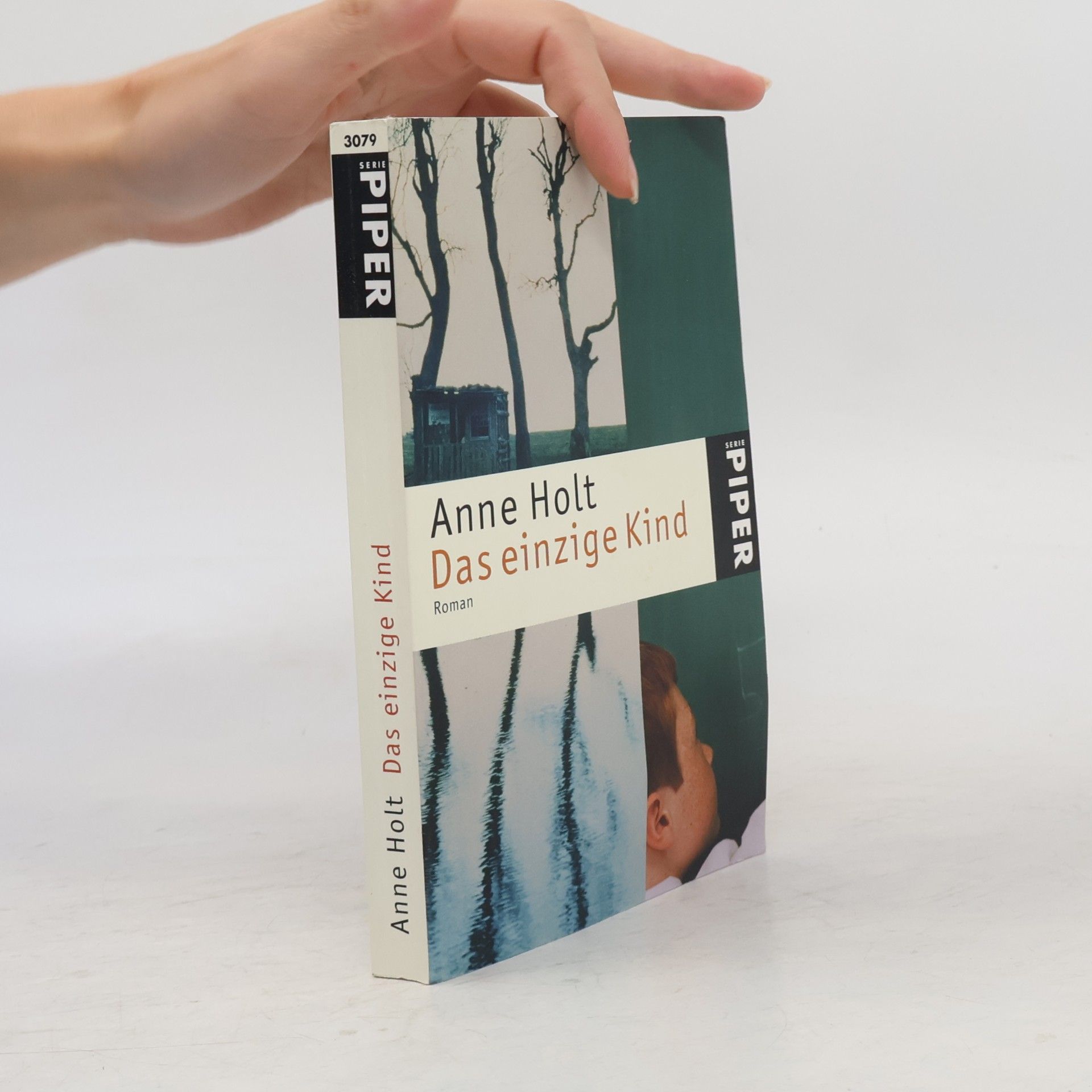 Anne Holt Das einzige Kind
