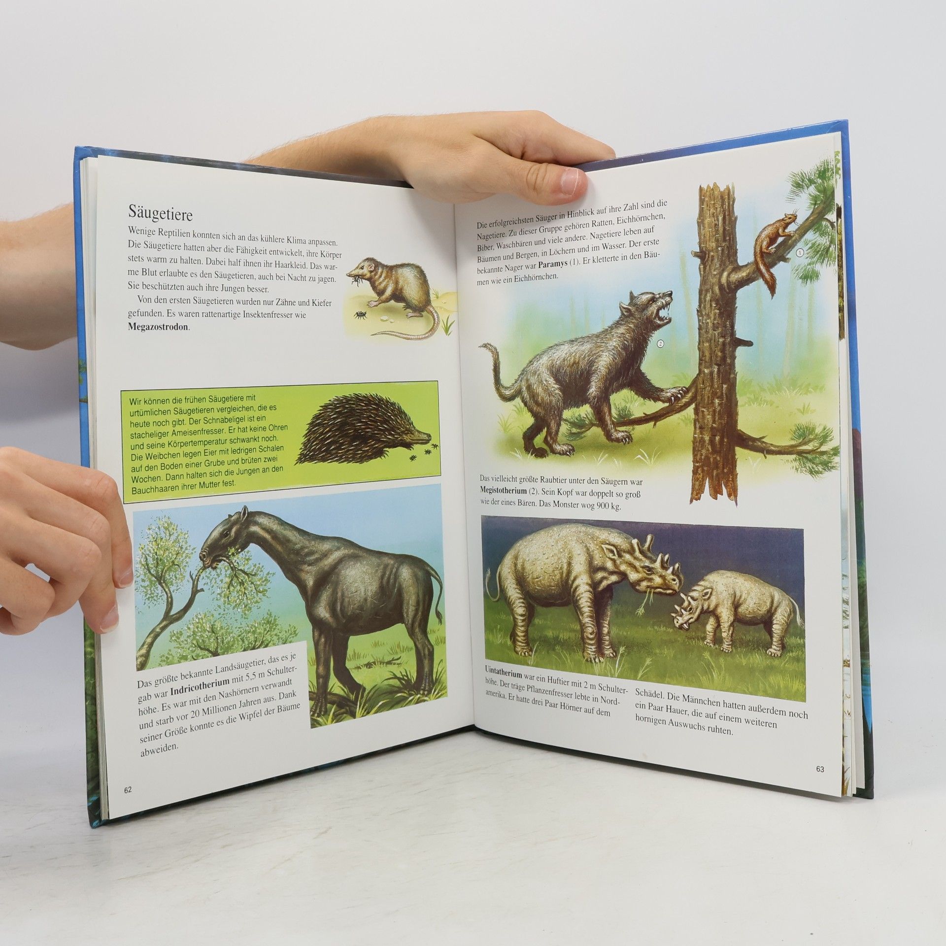 David A. Hardy Das große Buch der Dinosaurier