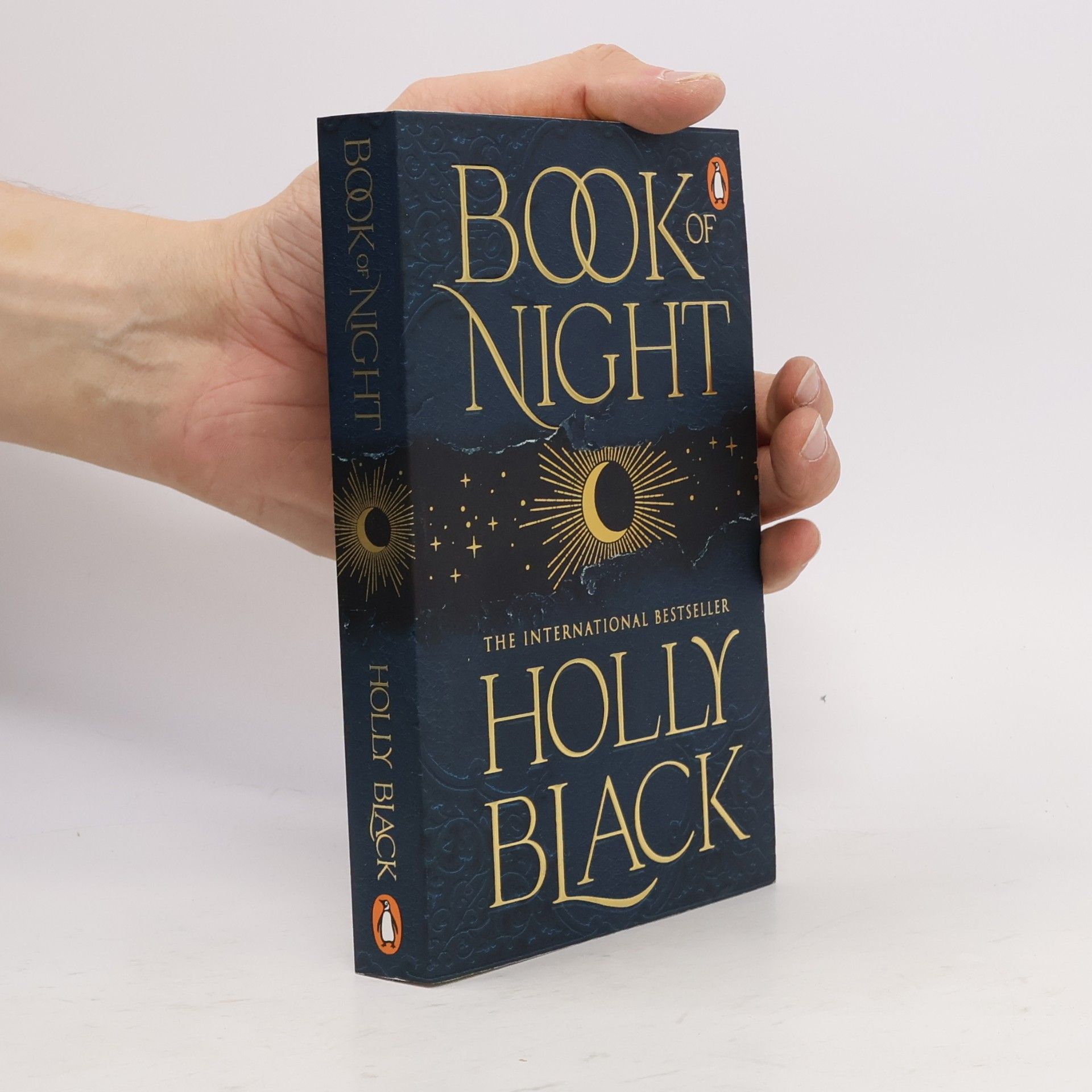 Holly Black Book of night