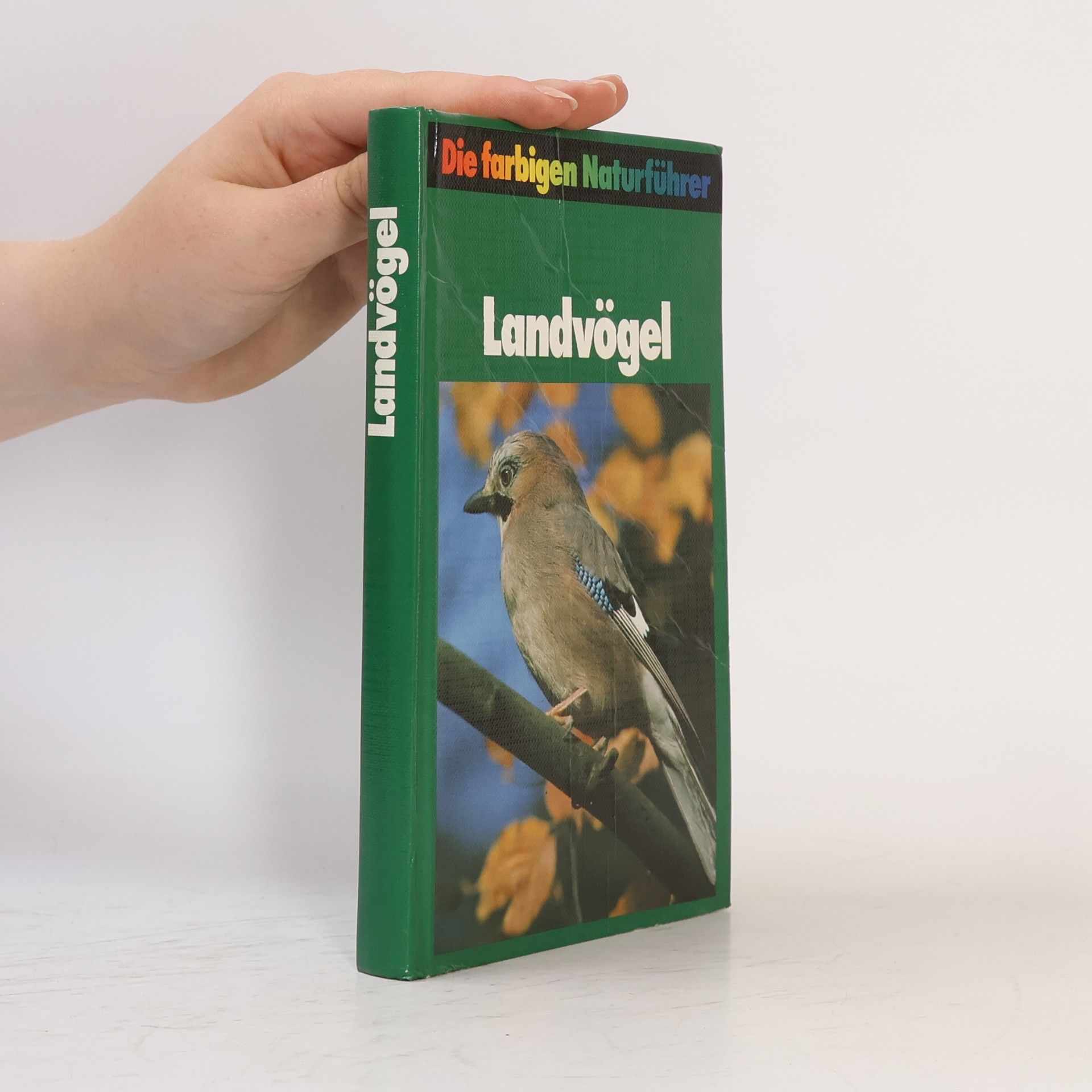 Autorenkollektiv Landvögel