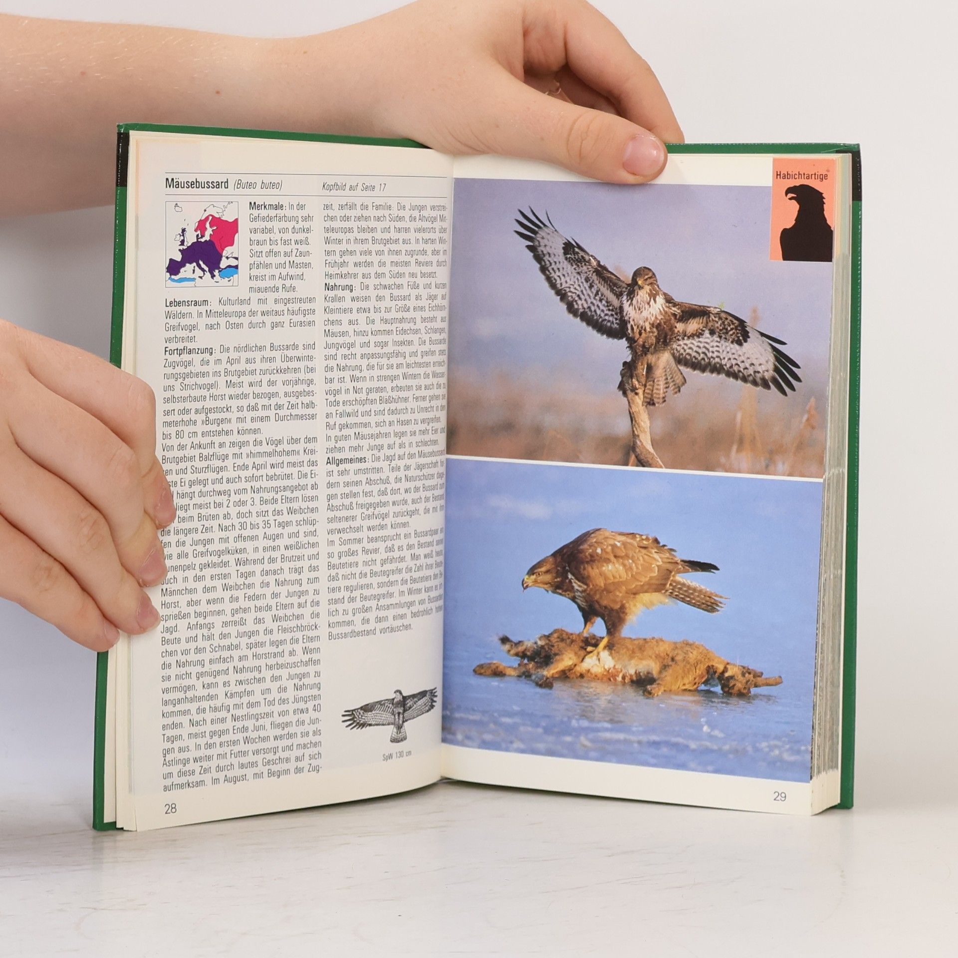 Autorenkollektiv Landvögel