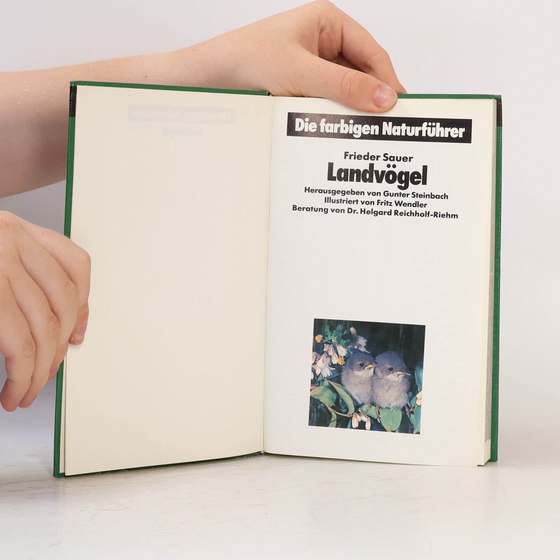 Autorenkollektiv Landvögel