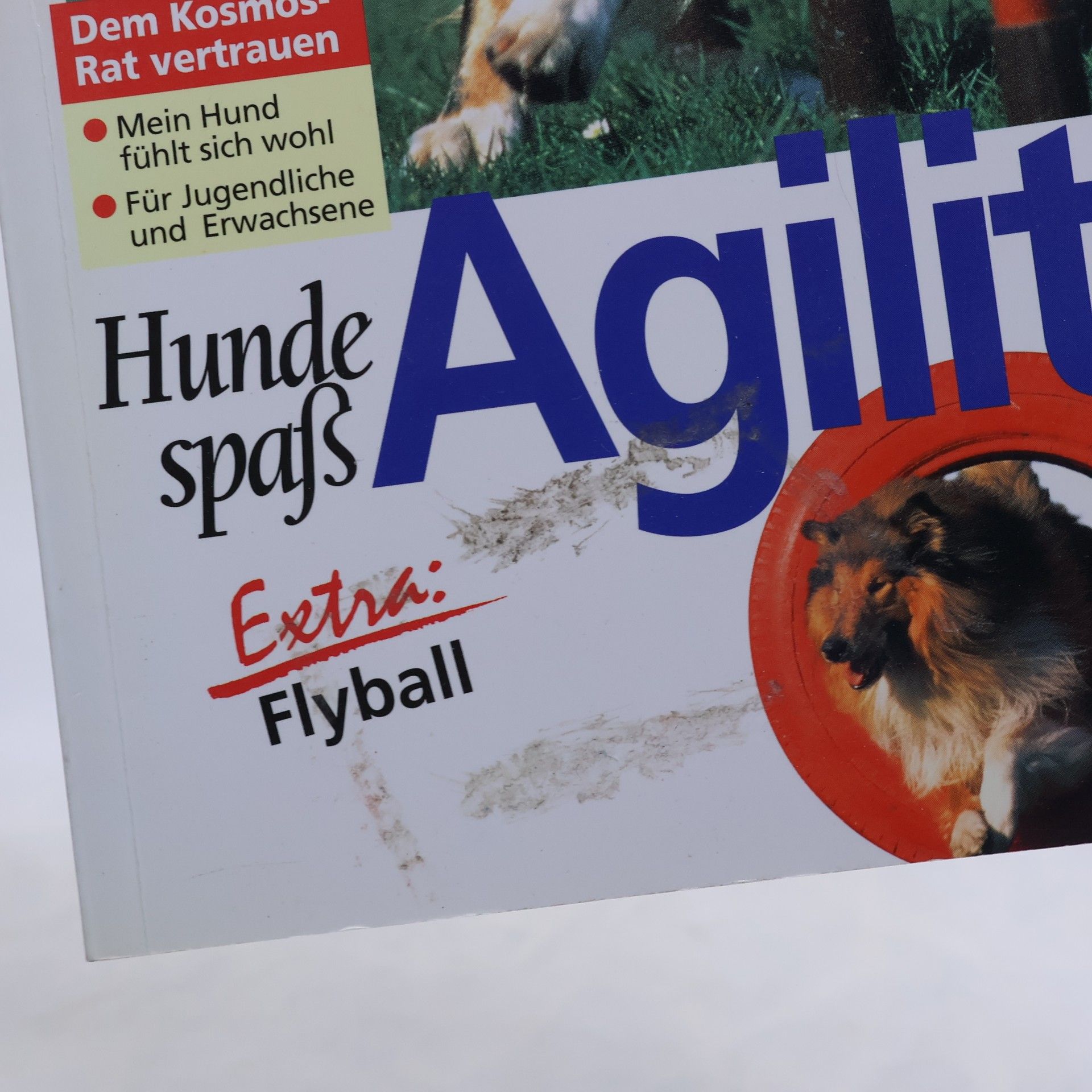 Hans-Günter Hertrich Hunde spass. Agility