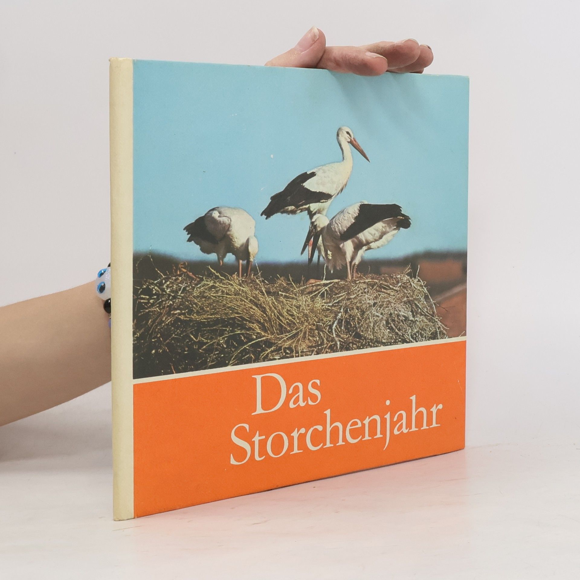 Claus Schönert Das Storchenjahr