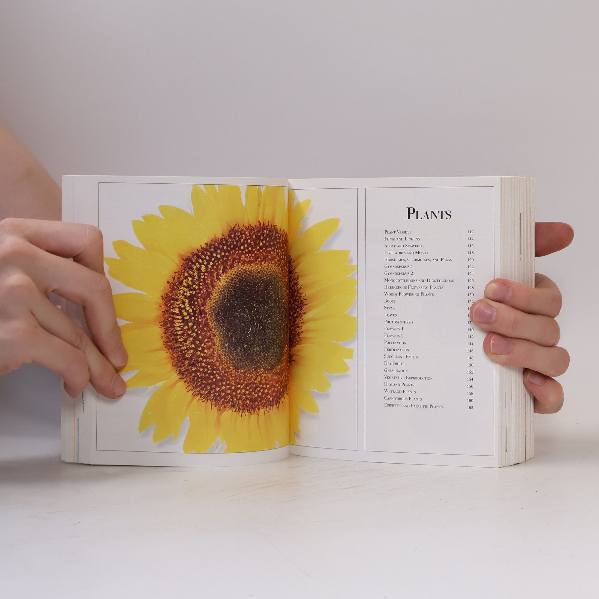 Autores varios Visual Encyclopedia