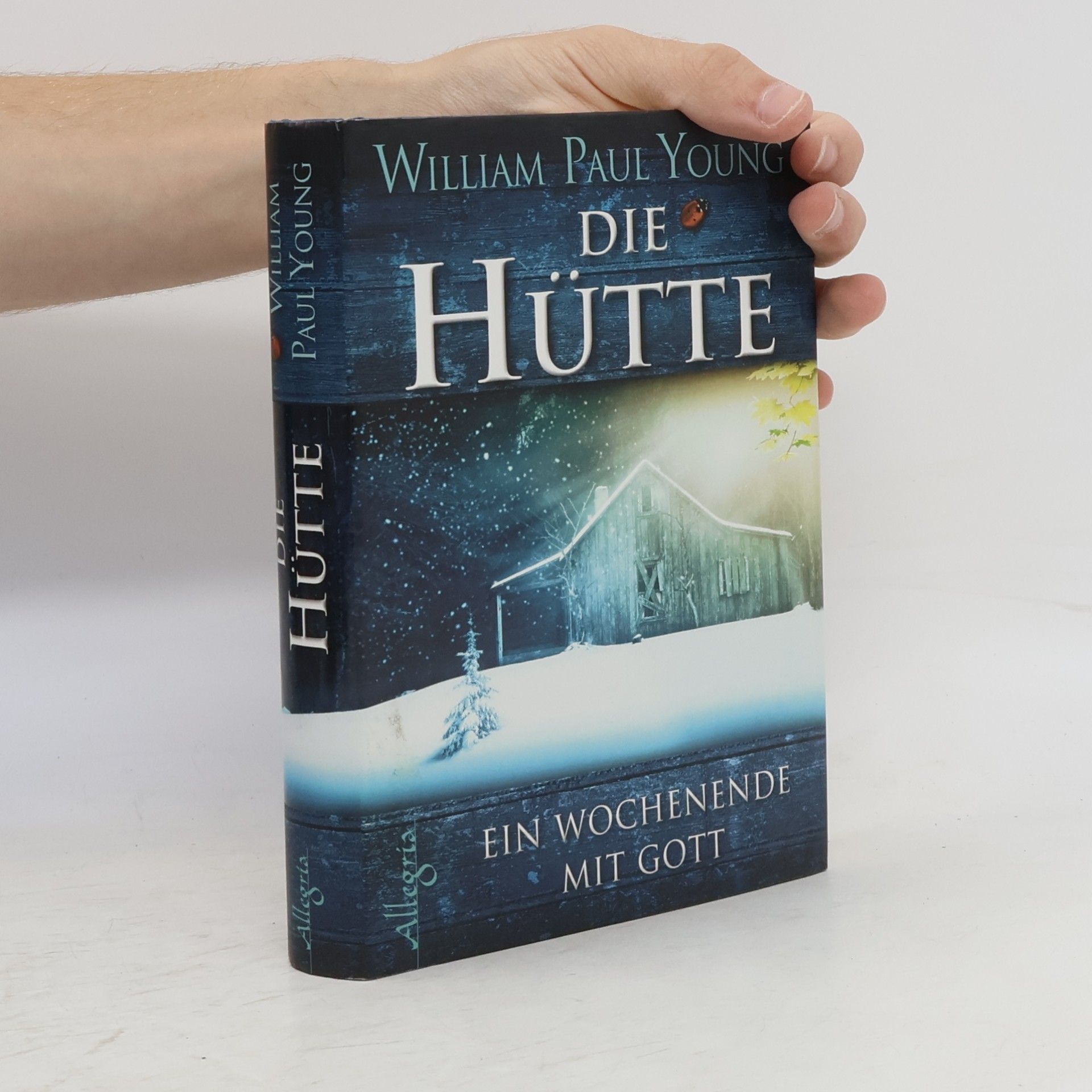 William P. Young Die Hütte