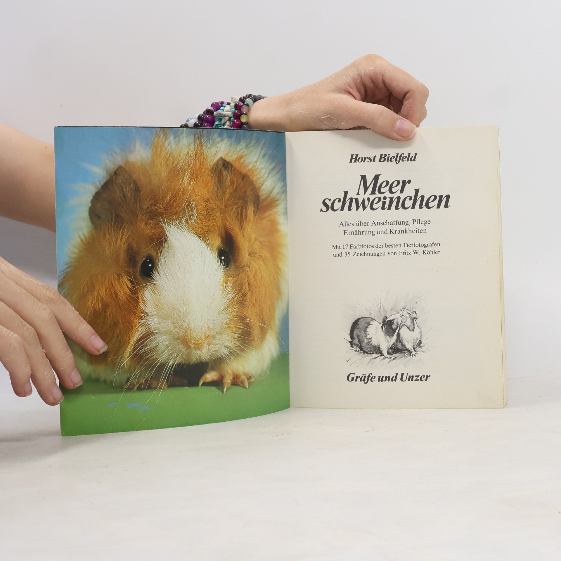 Horst Biefeld Meer schweinchen