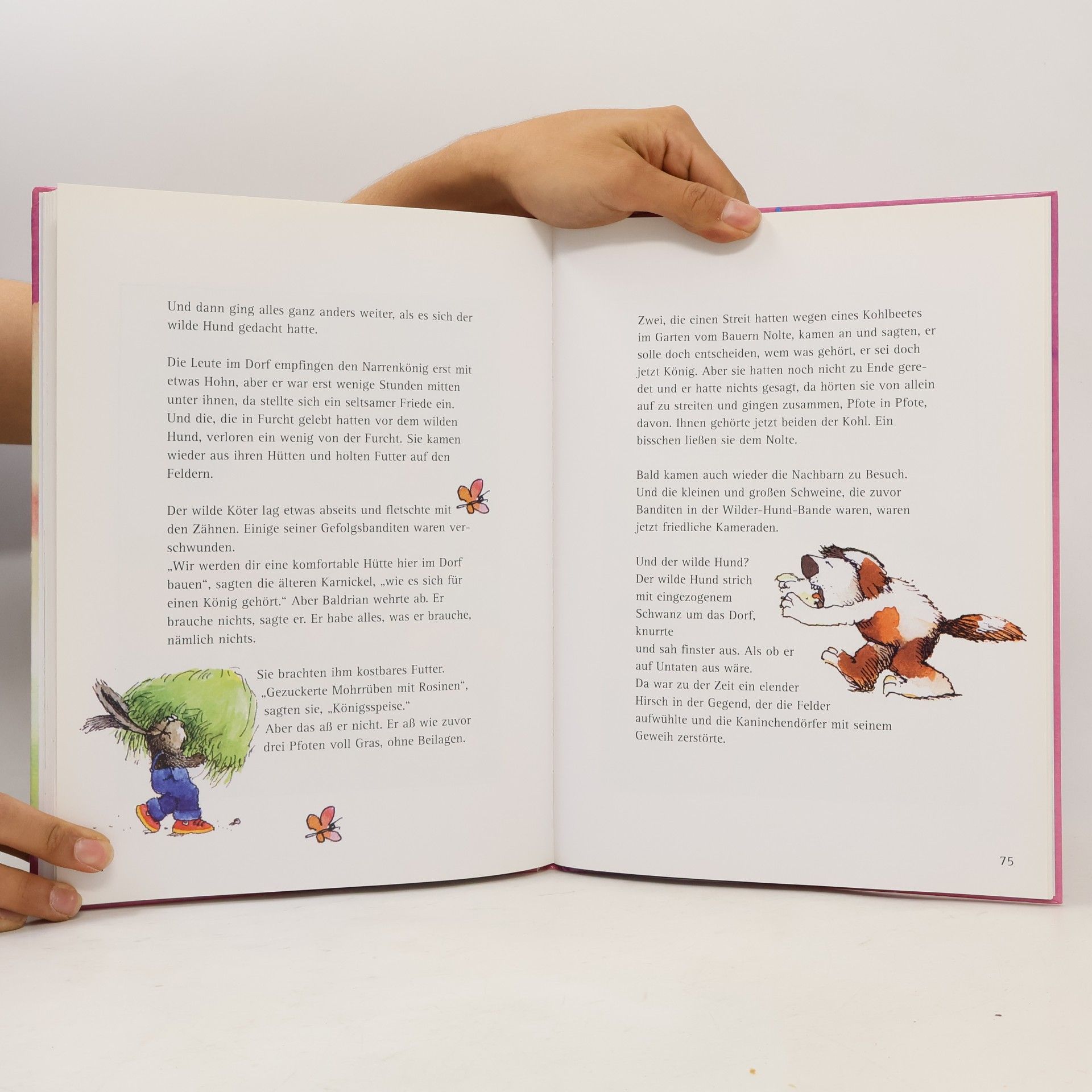 Janosch Das grosse Vorlesebuch