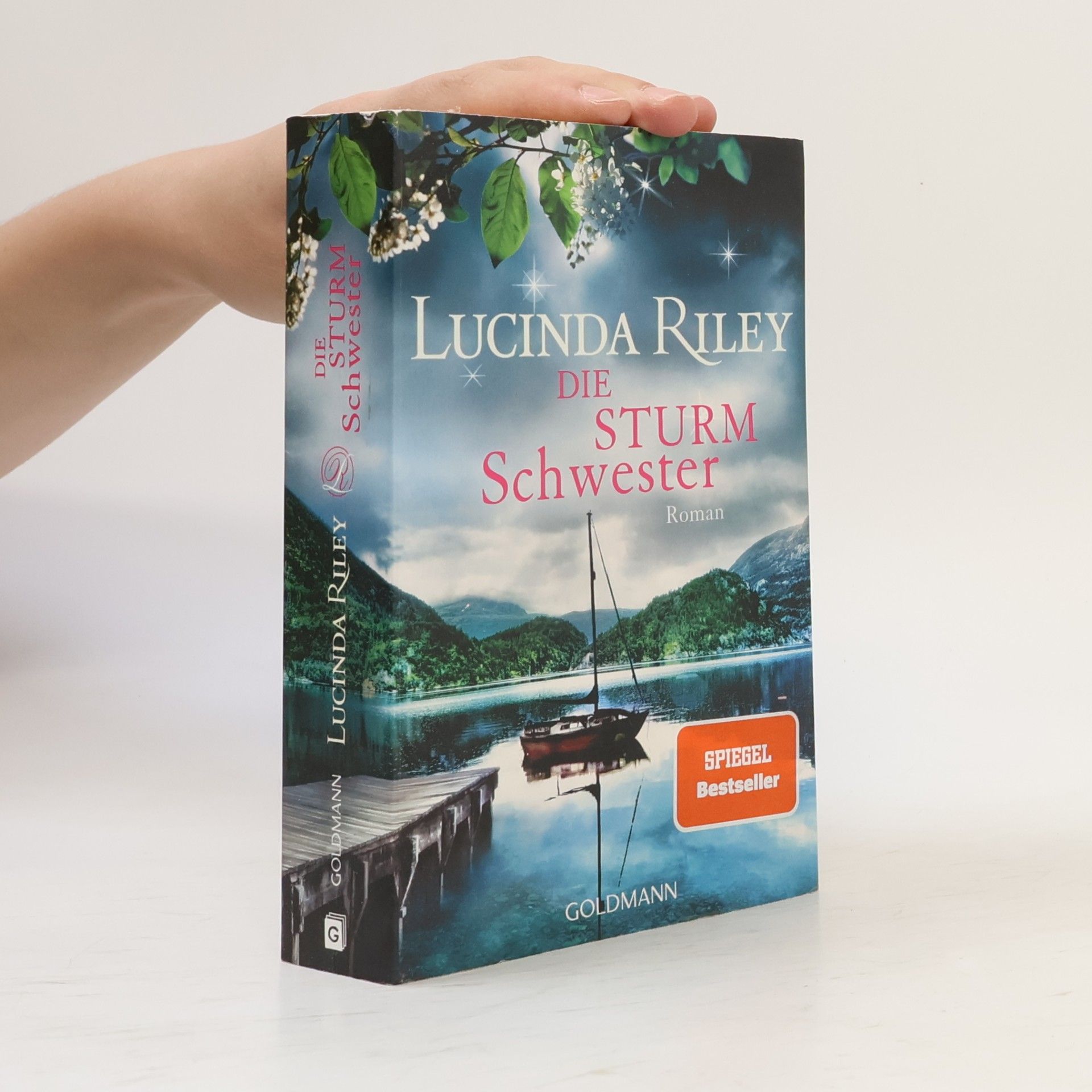 Lucinda Riley Die Sturmschwester