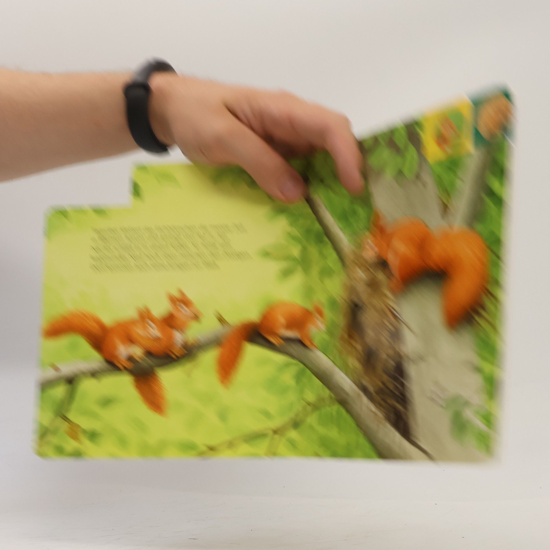 Steffen Walentowitz Wer wohnt im Wald?