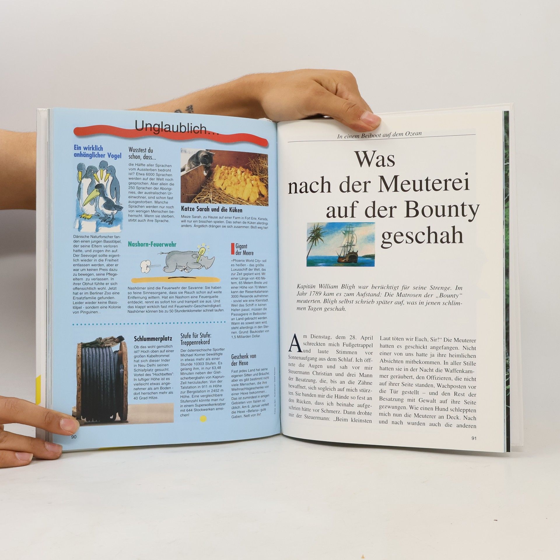 Autores varios Jugendbuch