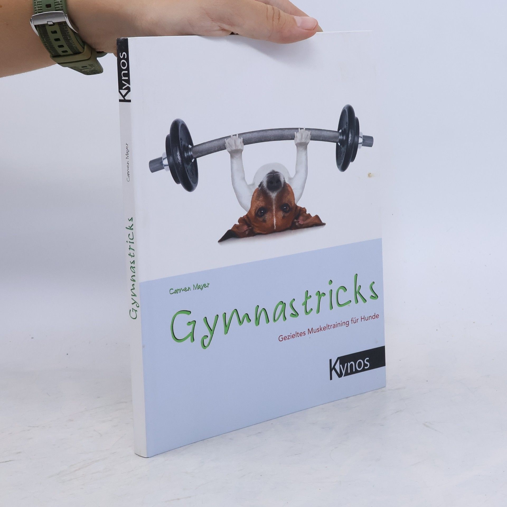 Carmen Mayer Gymnastricks