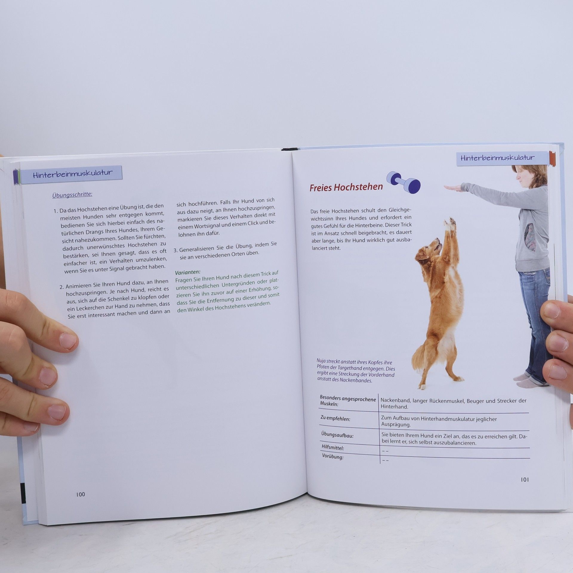 Carmen Mayer Gymnastricks