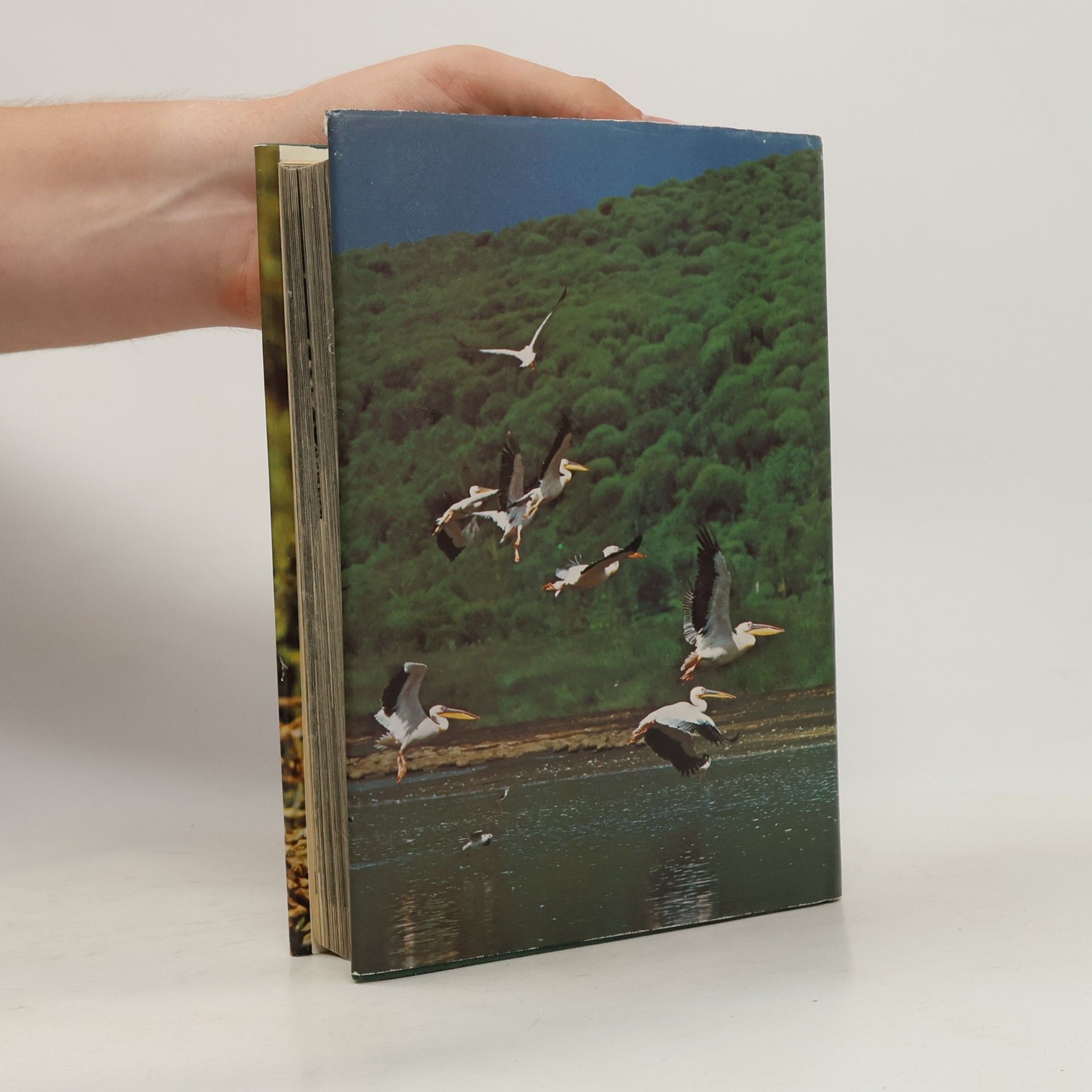 Jan Hanzák The Pictorial Encyclopedia of Birds