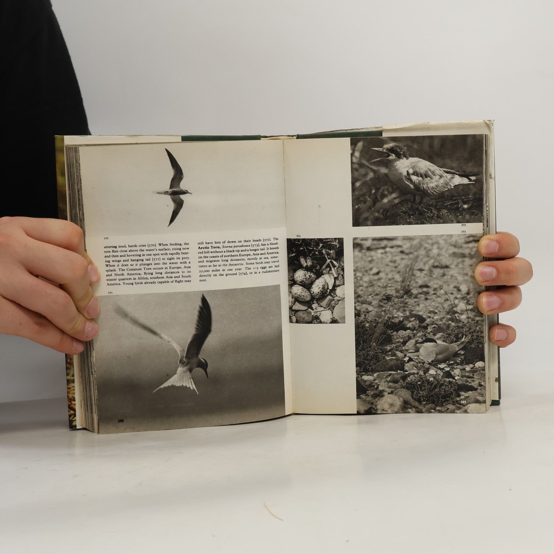 Jan Hanzák The Pictorial Encyclopedia of Birds