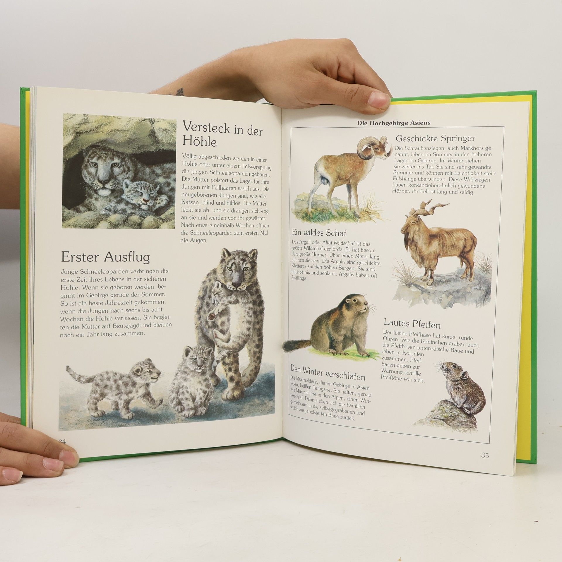 Collectif d'auteurs Wo Tiere leben