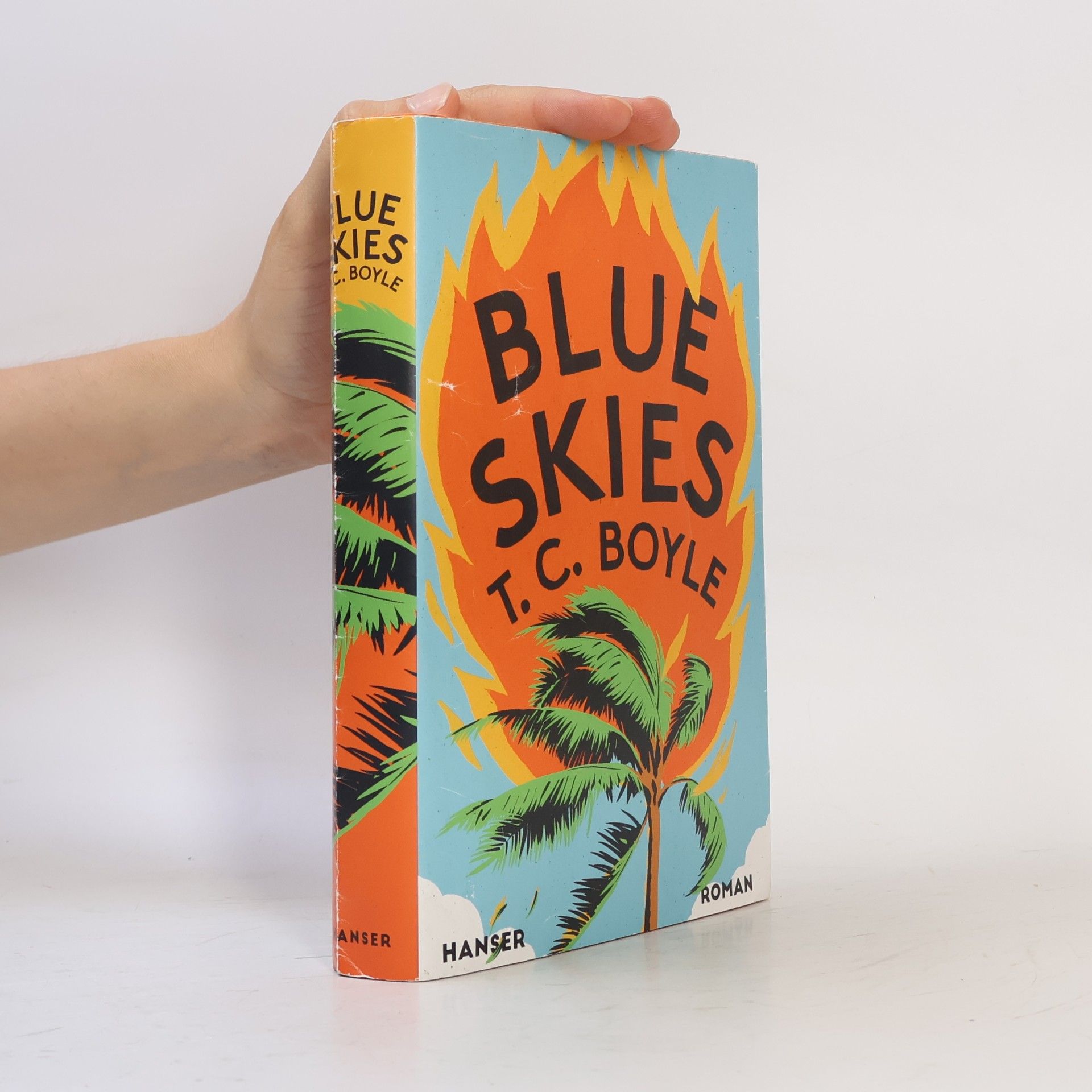 Tom Coraghessan Boyle Blue Skies
