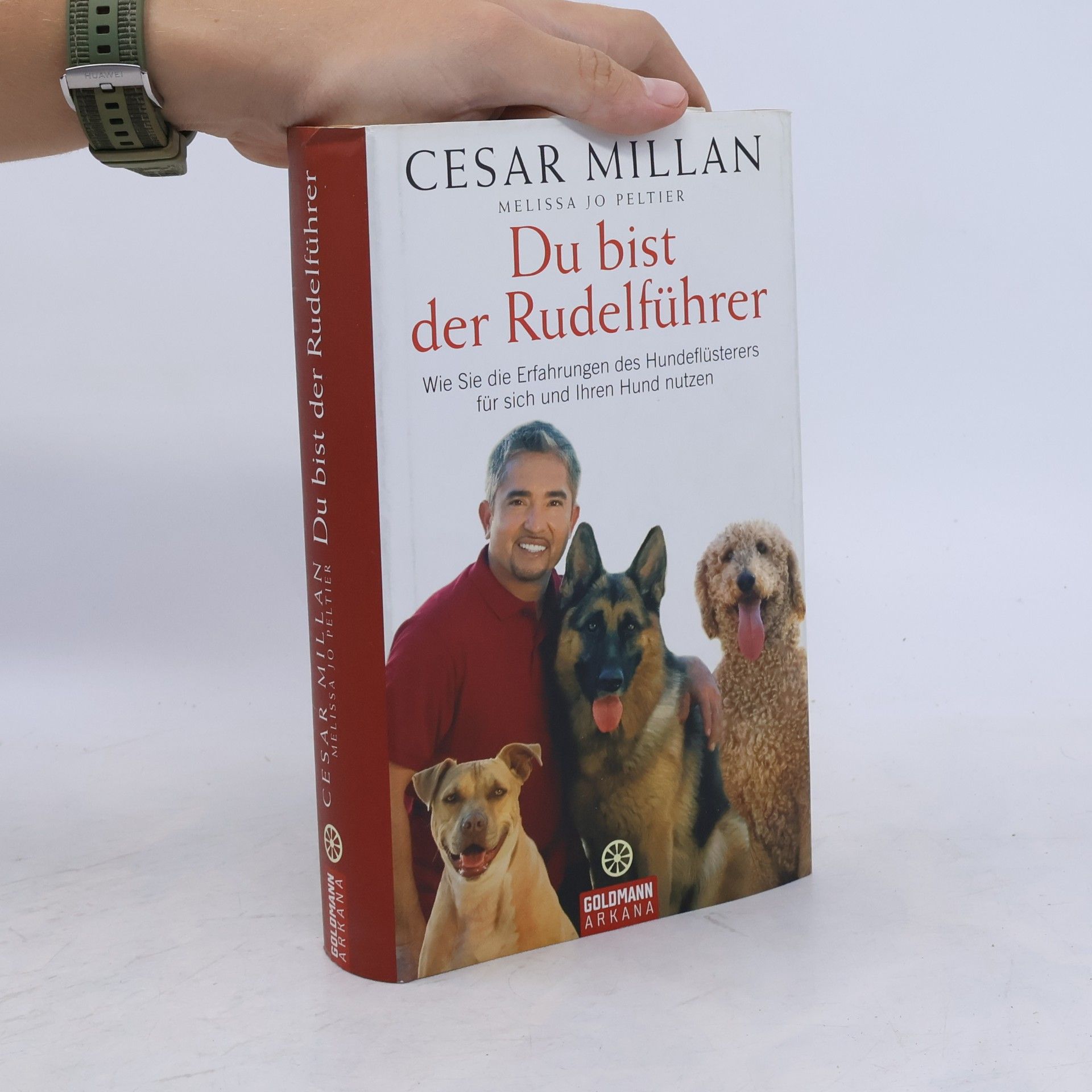 Cesar Millan Du bist der Rudelführer