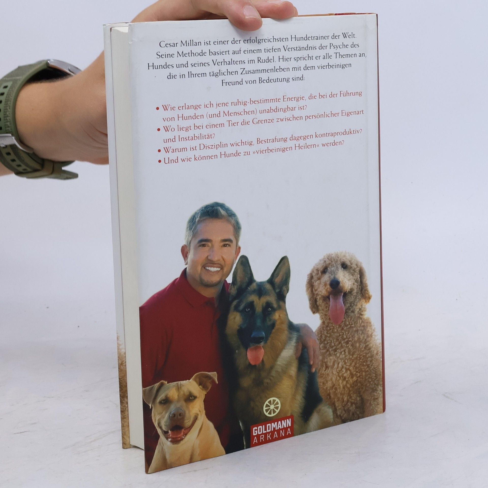 Cesar Millan Du bist der Rudelführer