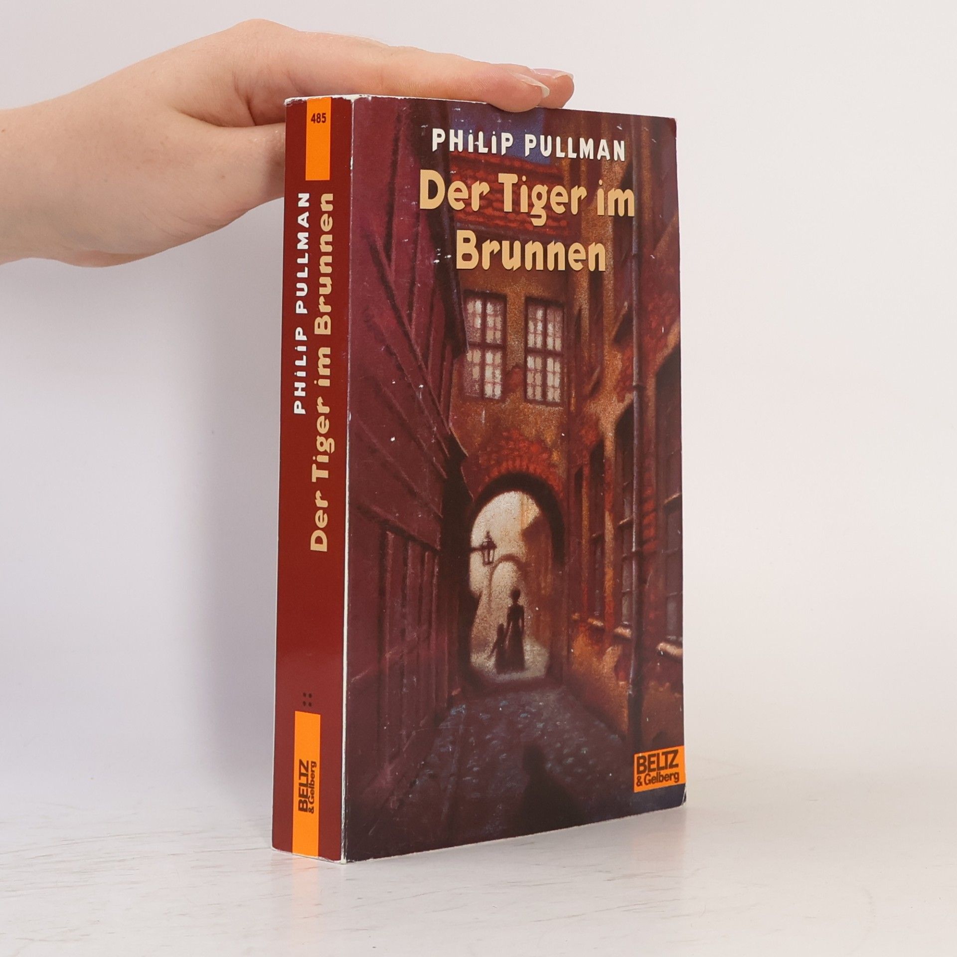 Philip Pullman Der Tiger im Brunnen
