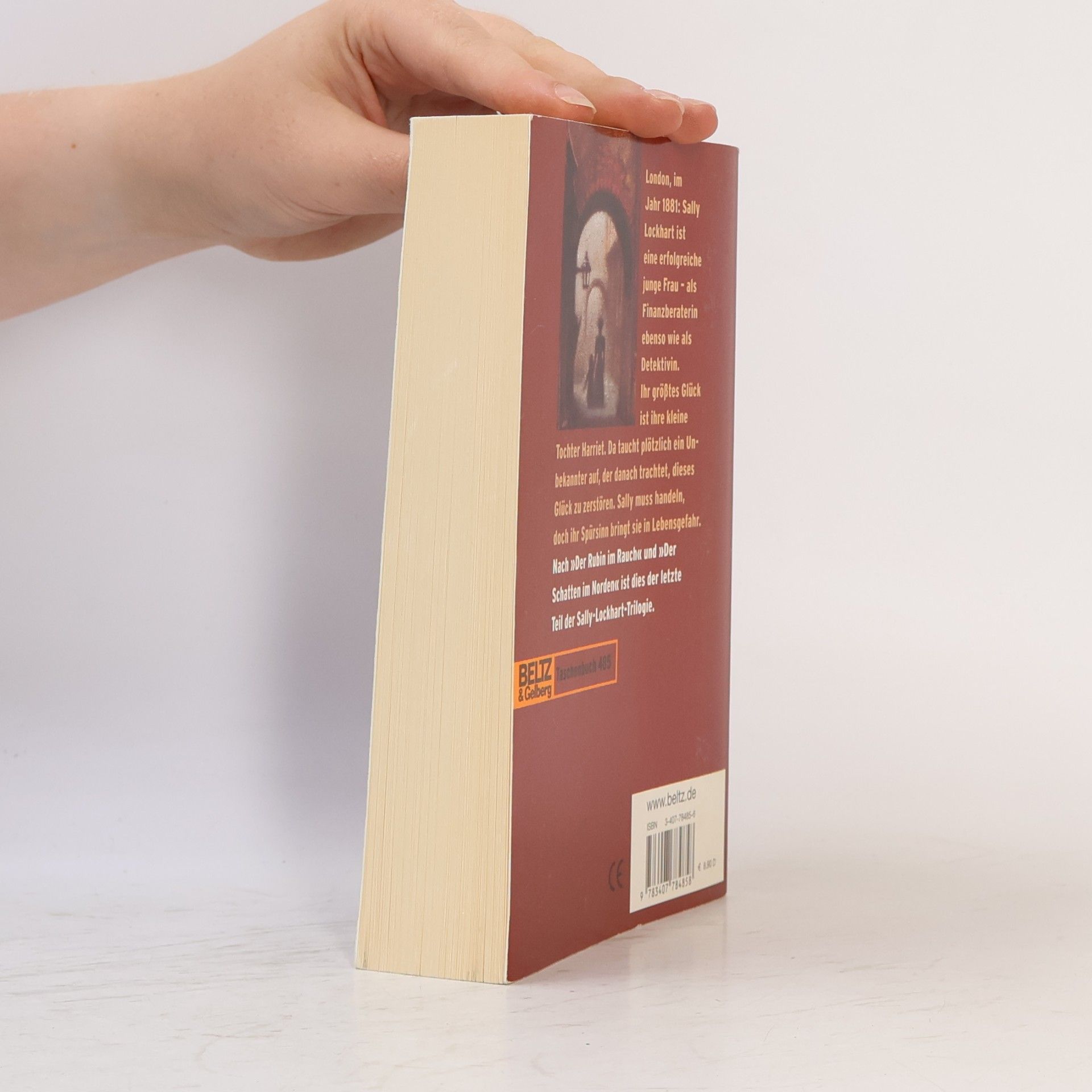 Philip Pullman Der Tiger im Brunnen
