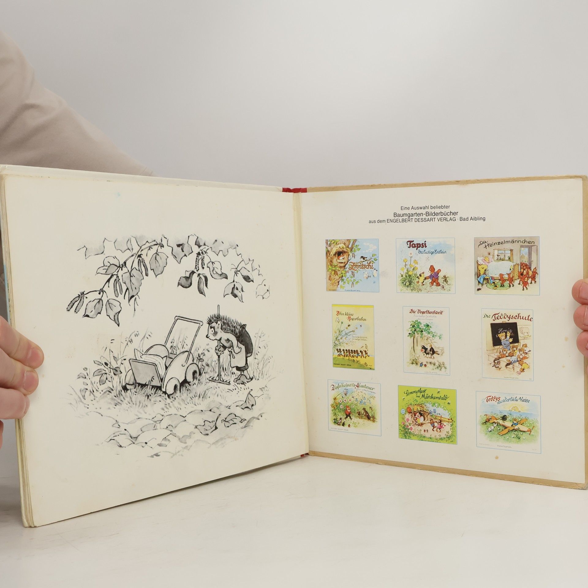 Autorenkollektiv Tapsi, das lustige Entlein