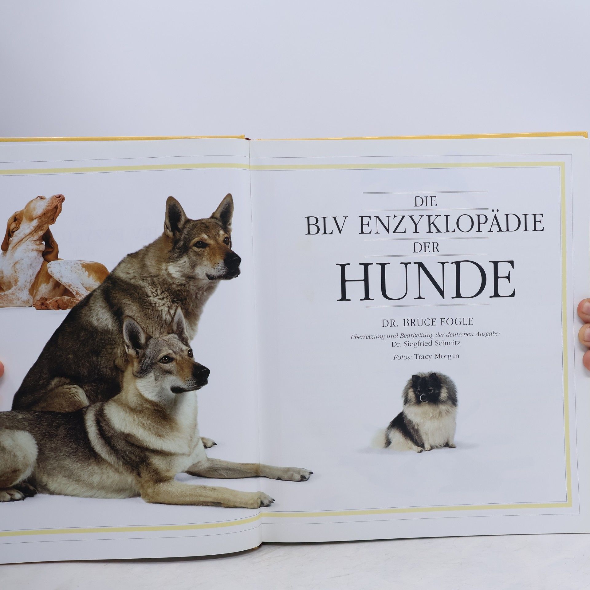 Bruce Fogle Die BLV Enzyklopädie der Hunde