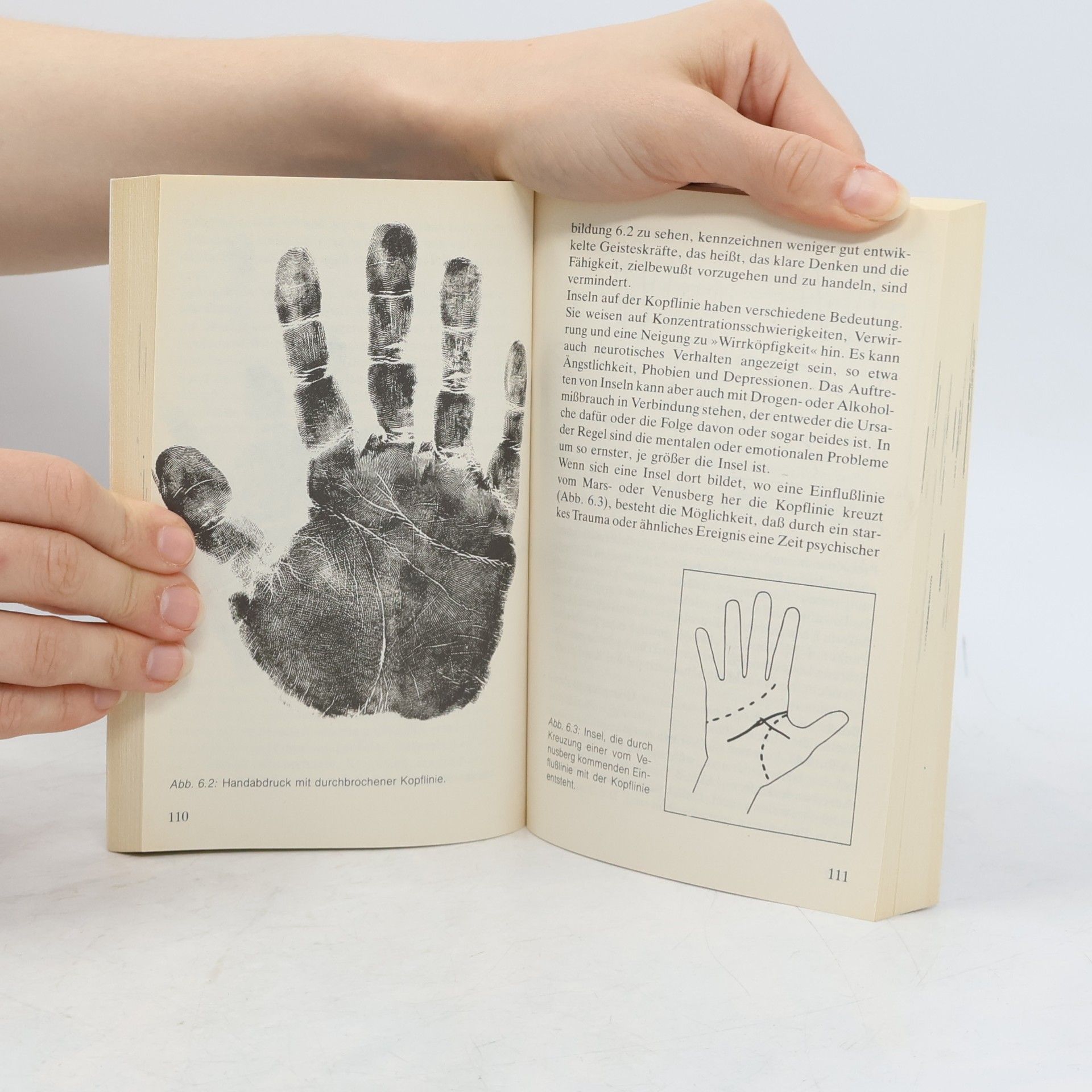 Nathaniel Altman Die Praxis des Handlesens