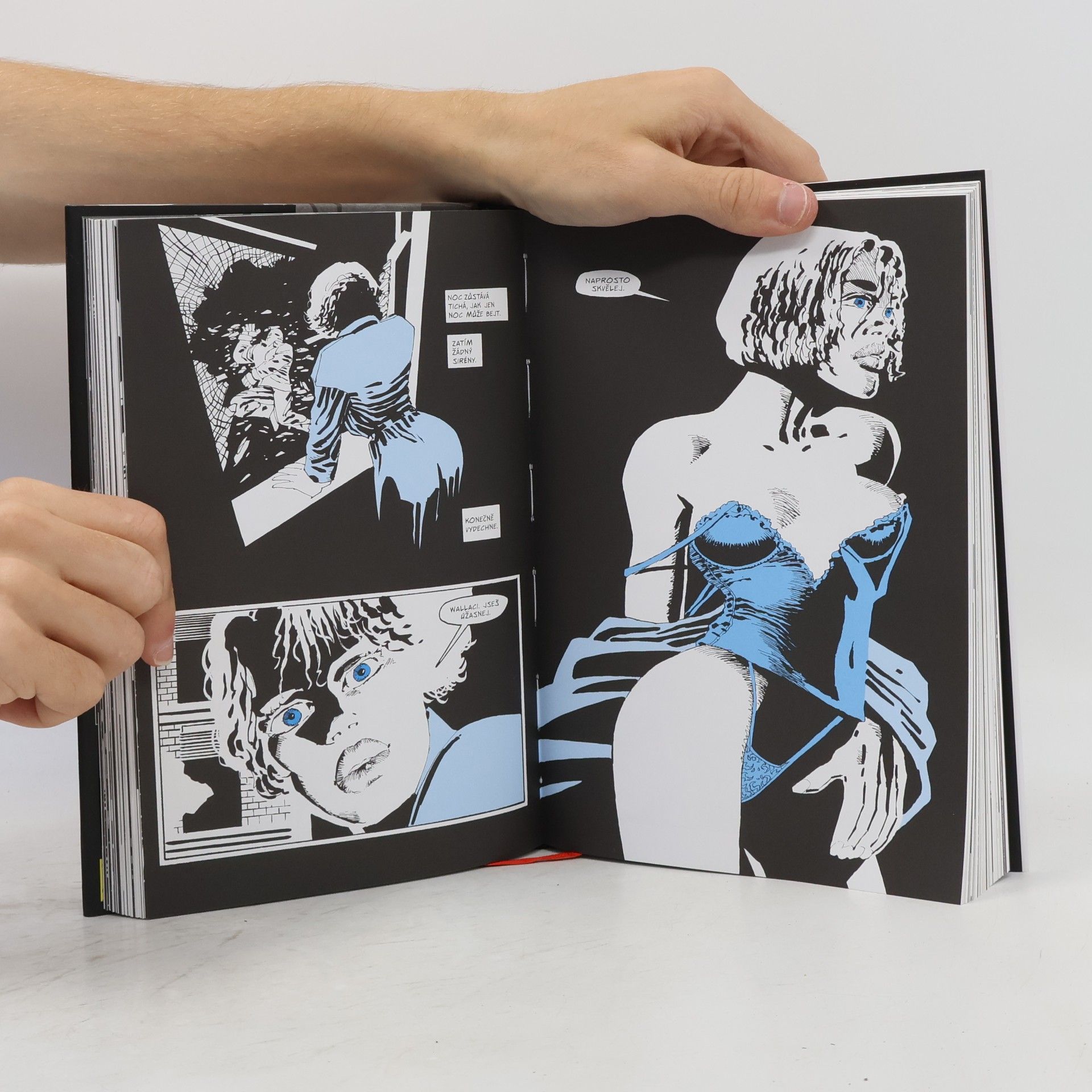 Frank Miller Sin City. Město hříchu 7. Do srdce temnoty (vázaná)