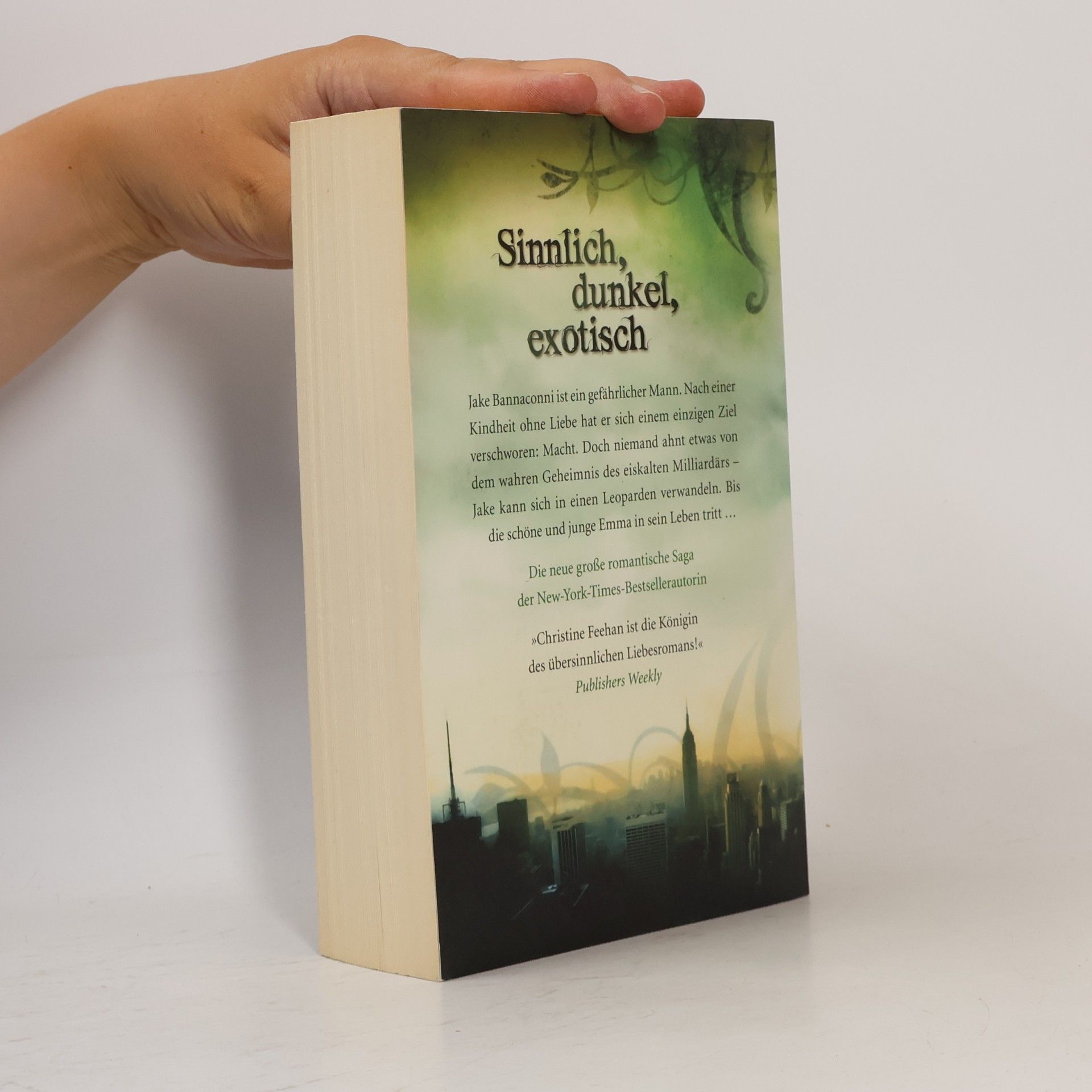 Christine Feehan Magisches Feuer