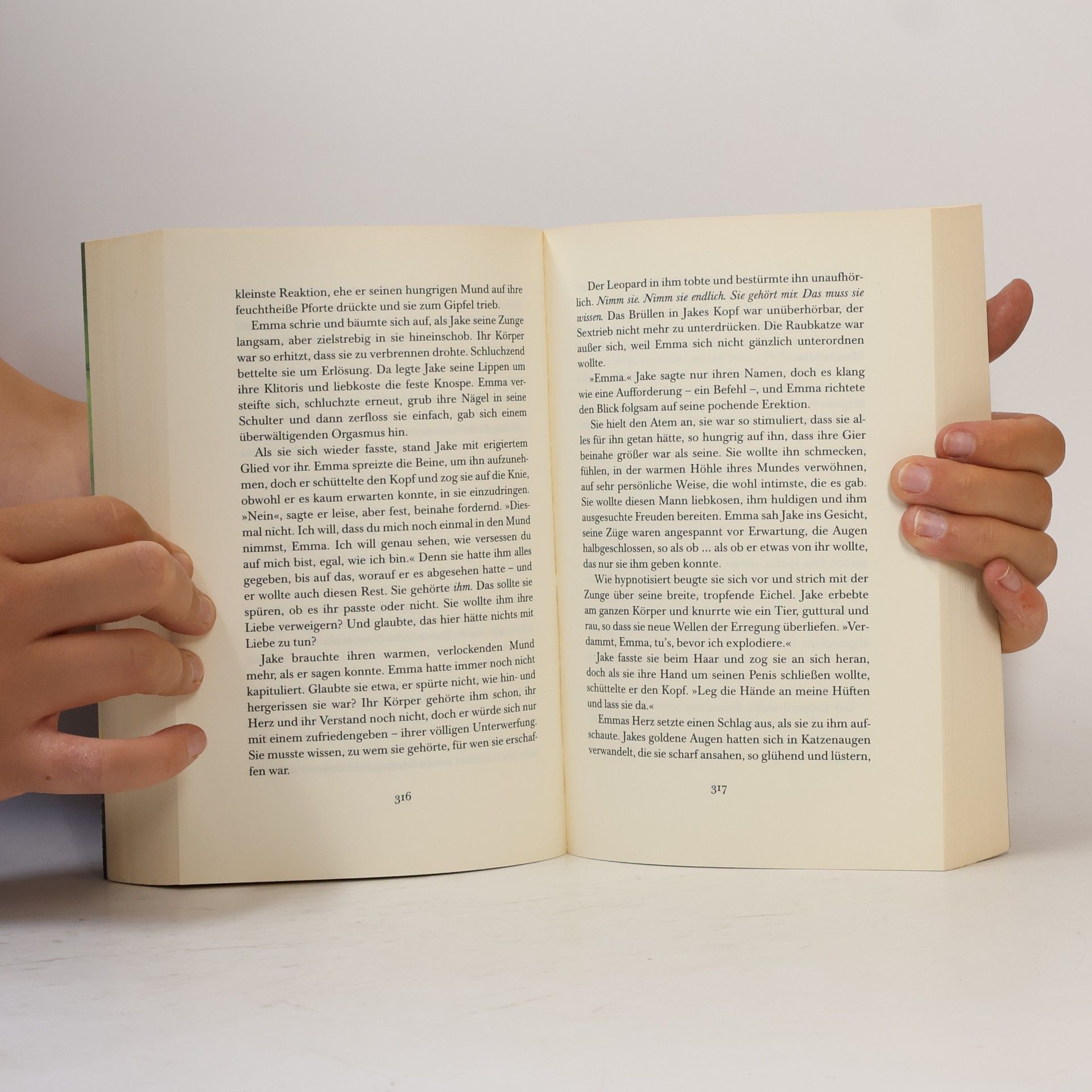 Christine Feehan Magisches Feuer