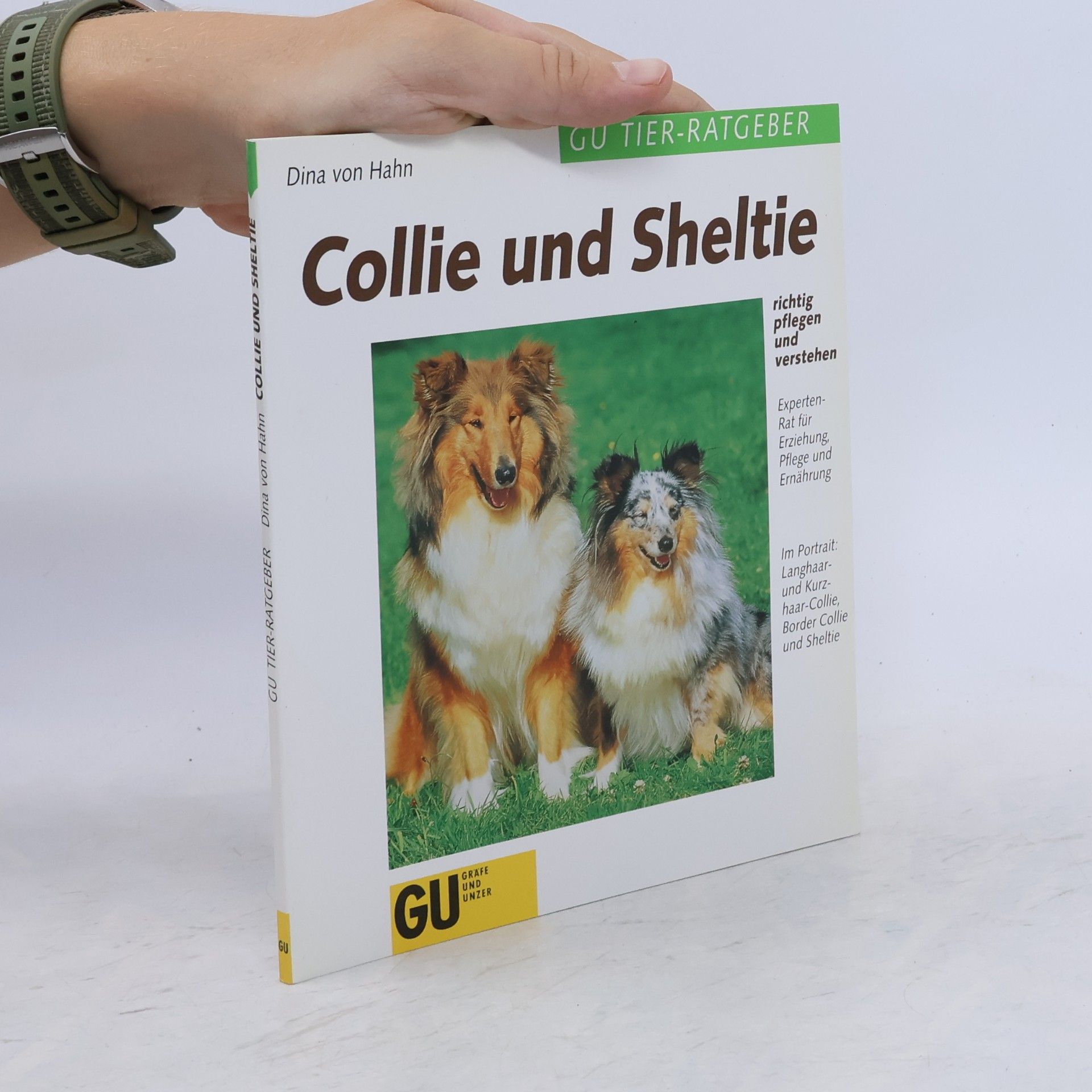 Dina von Hahn Collie und Sheltie