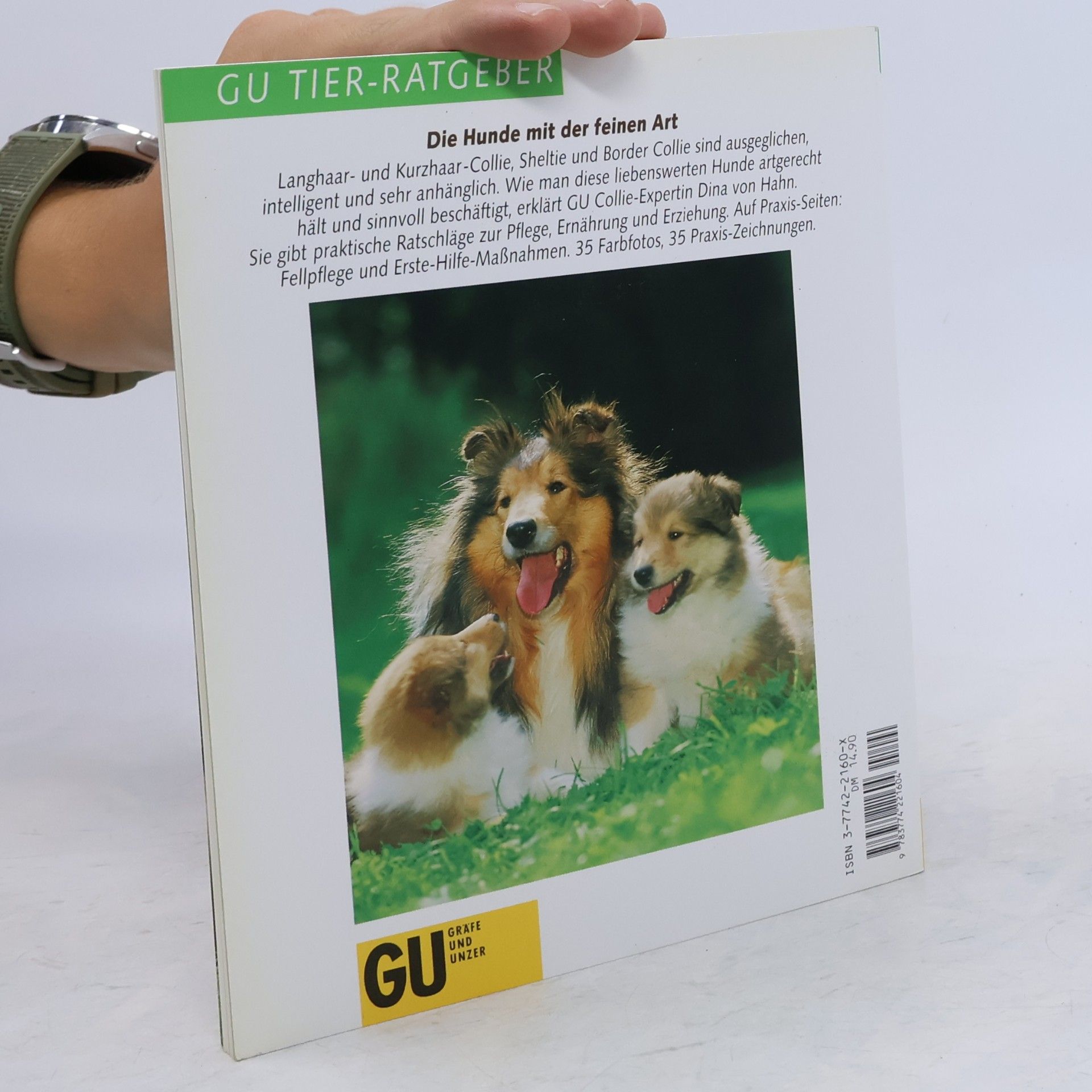 Dina von Hahn Collie und Sheltie
