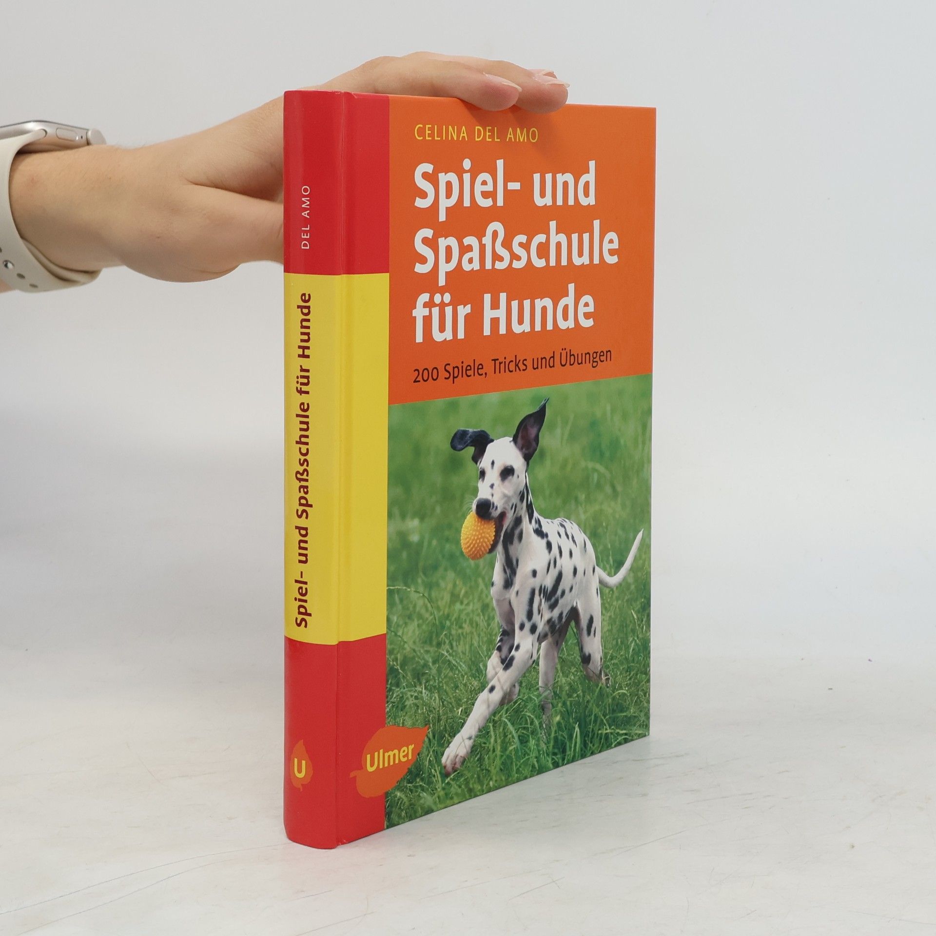 Celina del Amo Spiel- und Spaßschule für Hunde