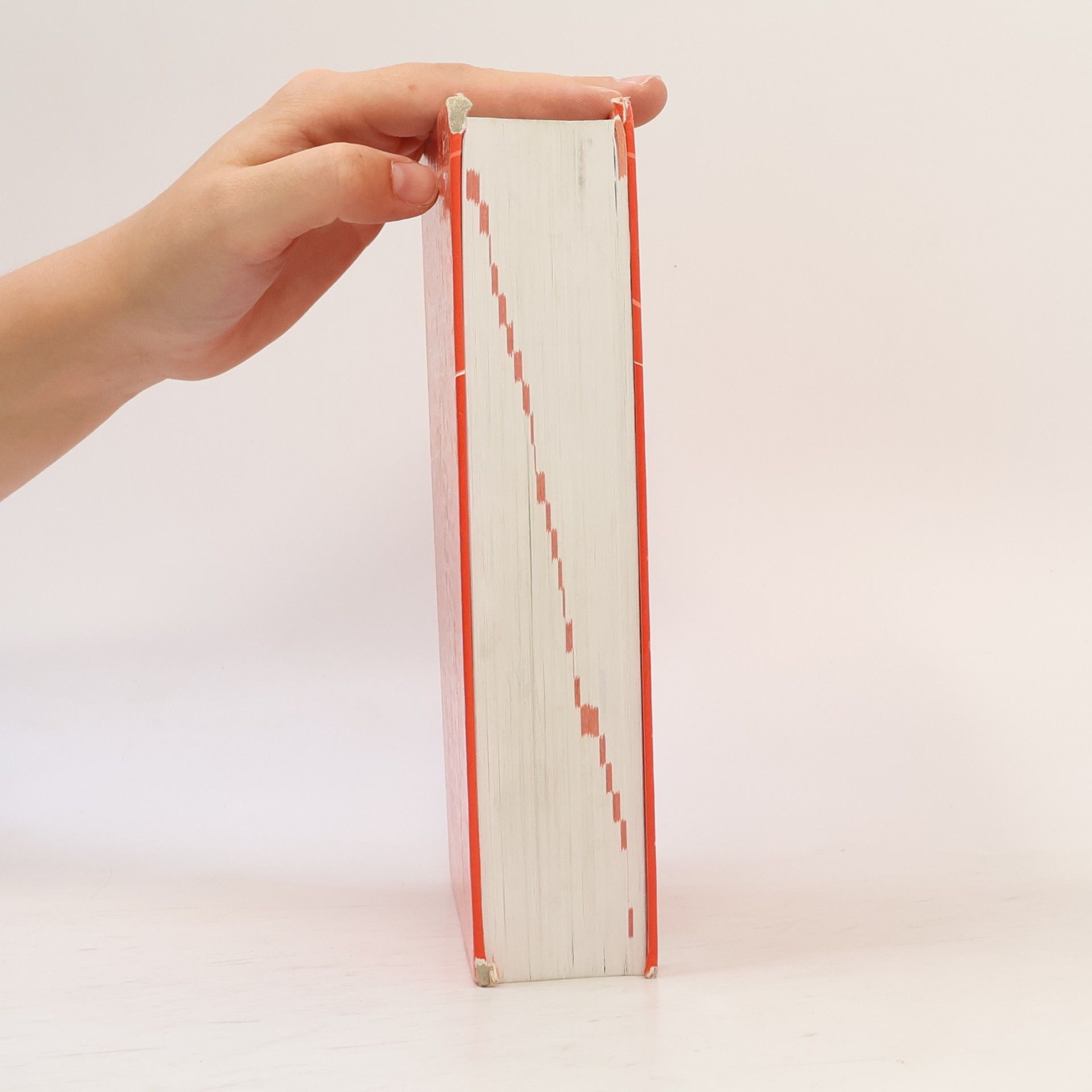Silvia Bliem Österreichisches Wörterbuch