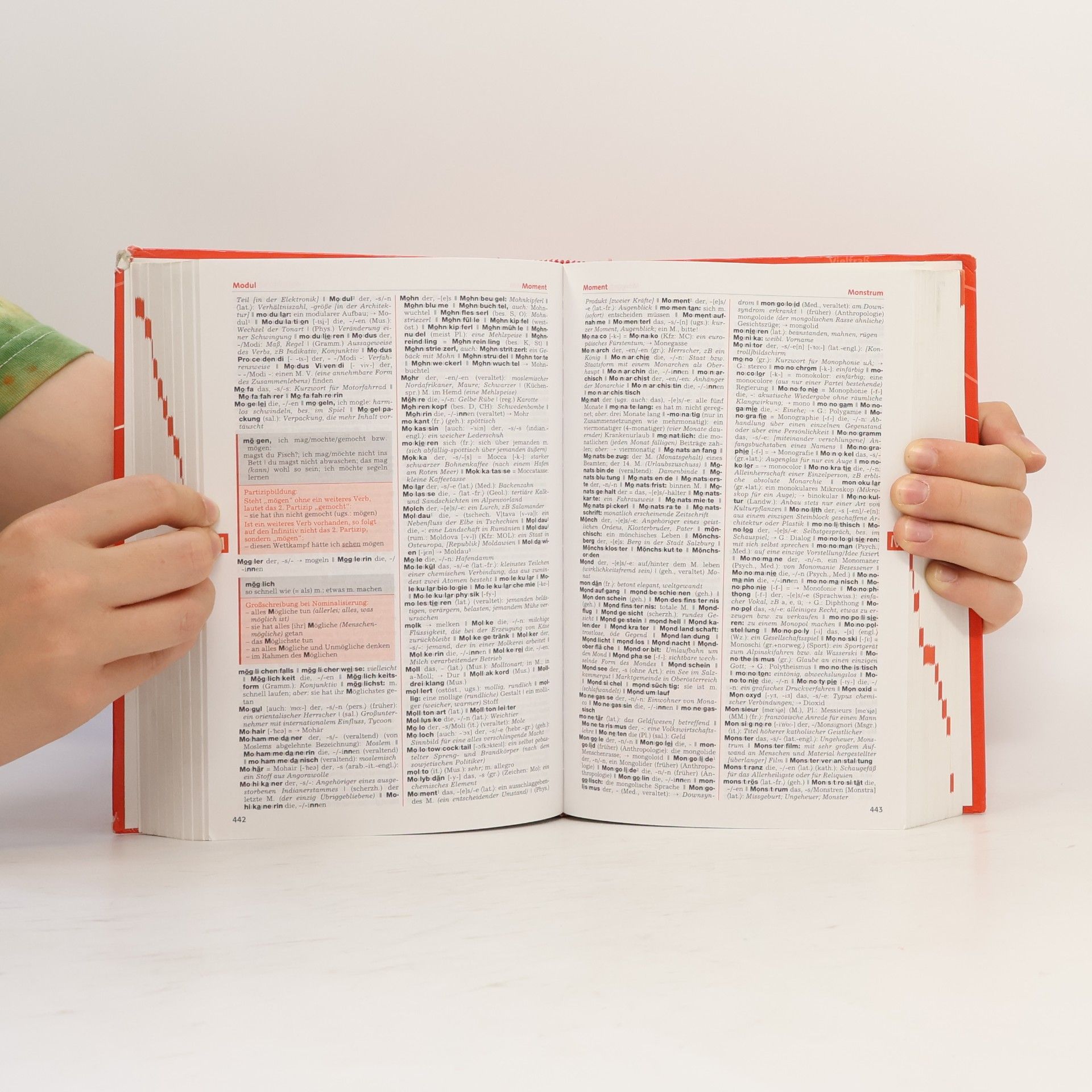 Silvia Bliem Österreichisches Wörterbuch