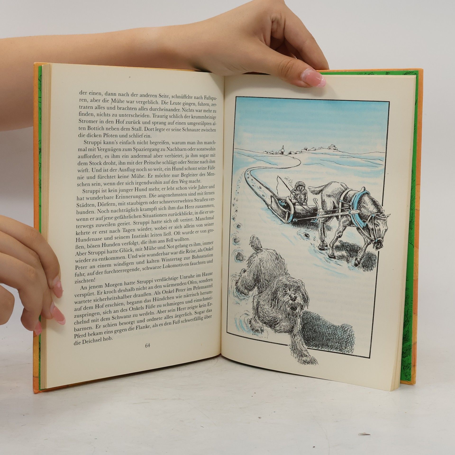 Autorenkollektiv Die Wolkenhueterin (13 Geschichten und Maerchen aus Litauen)