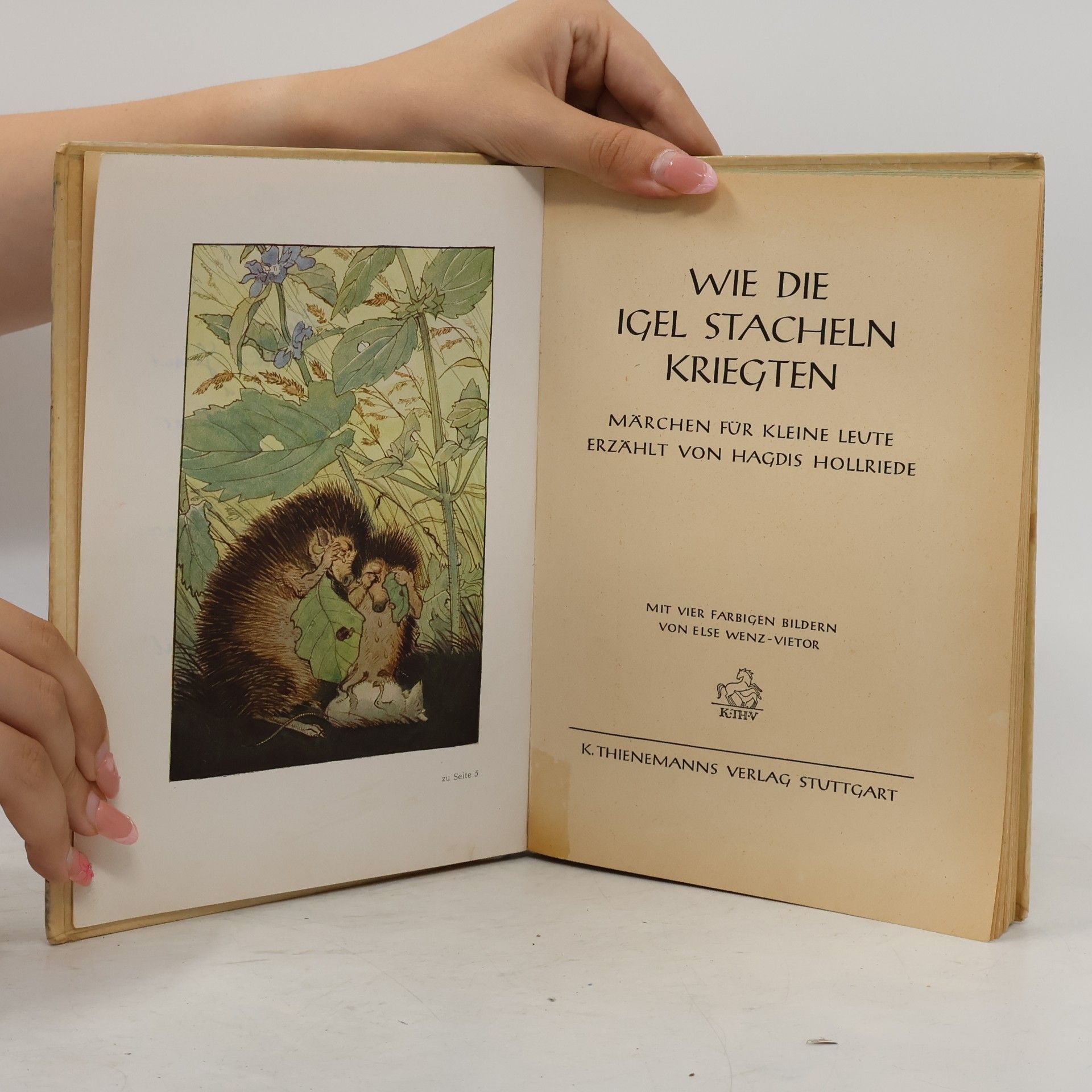Hagdis Hollriede Wie die Igel Stacheln kriegten