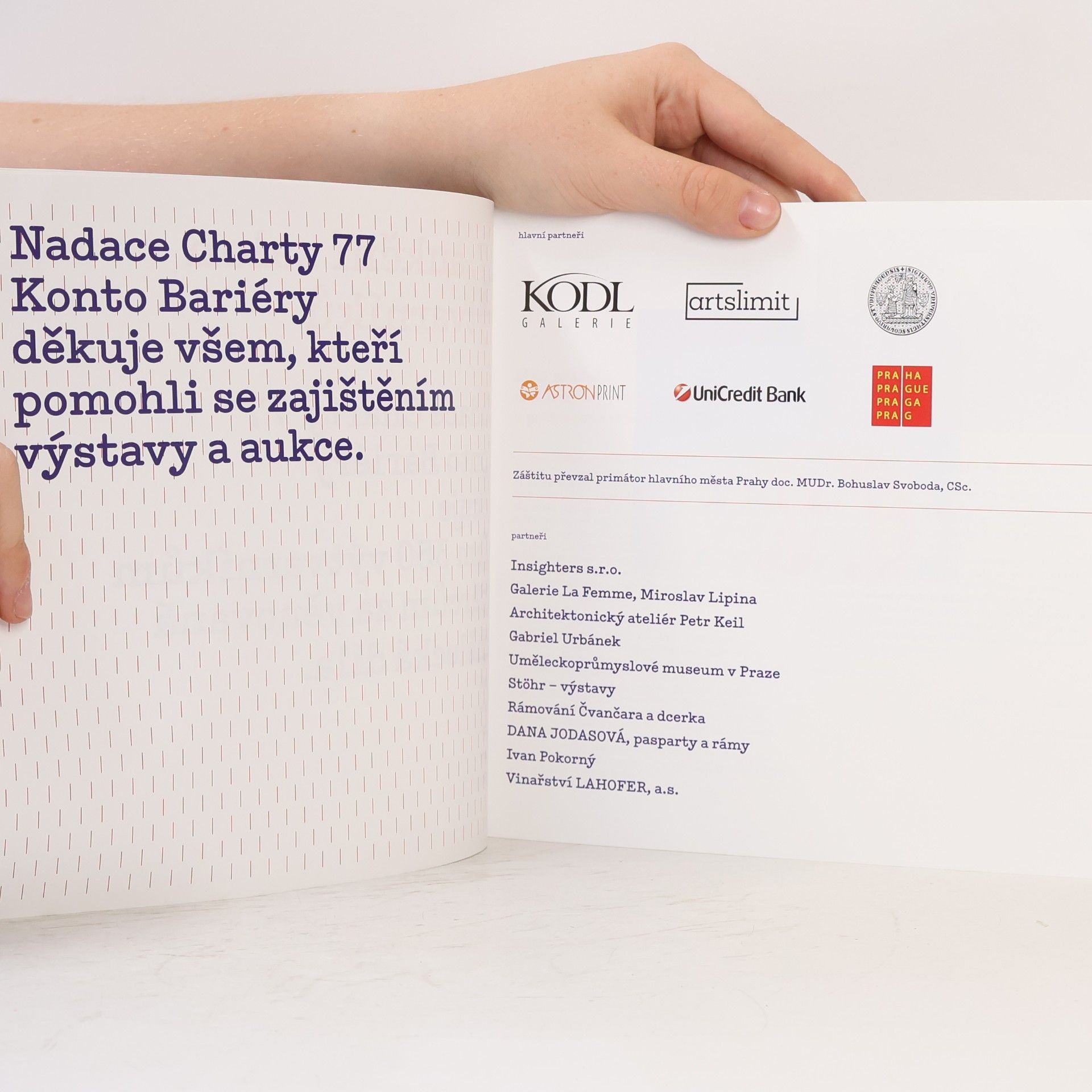 kolektiv 17. aukční salon výtvarníků
