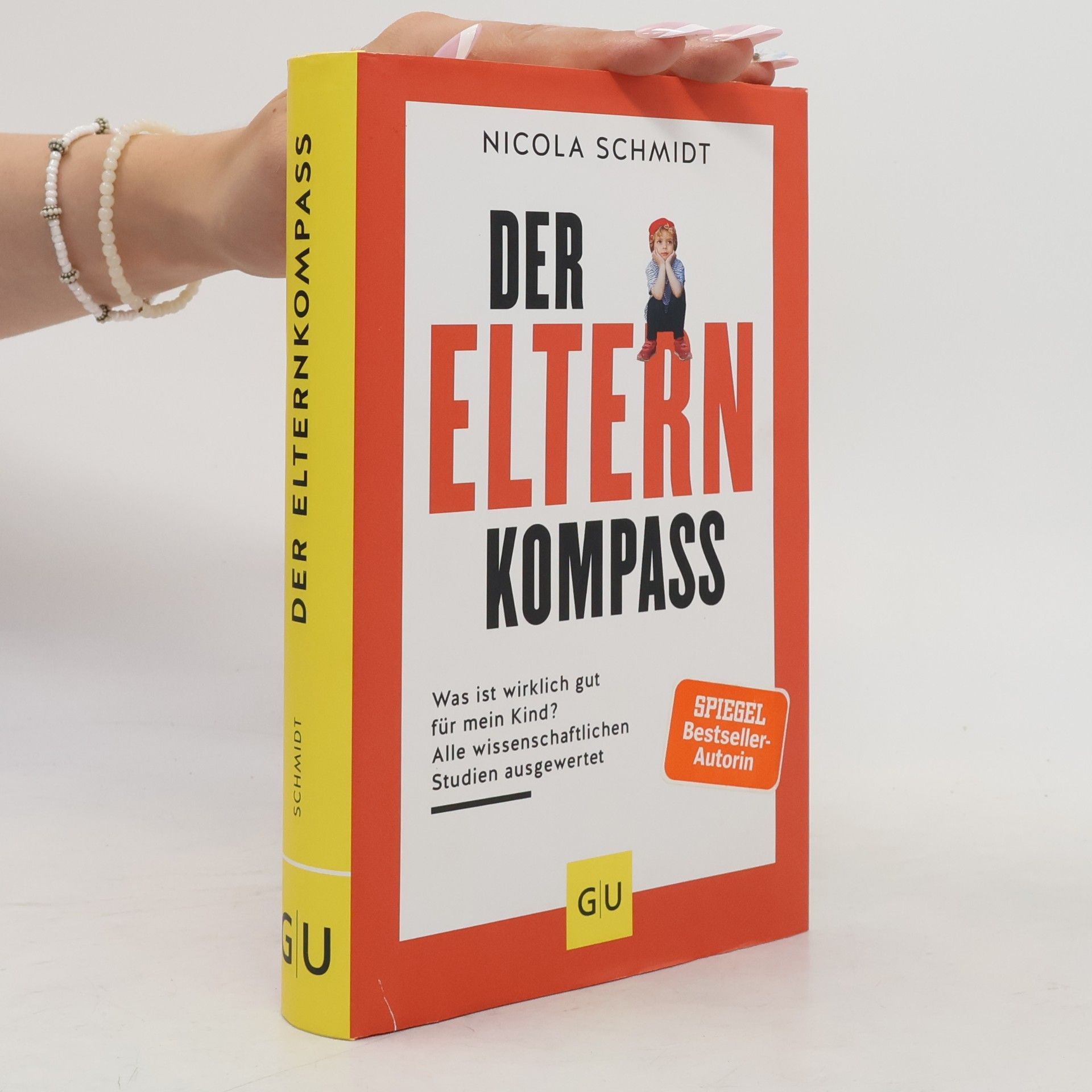 Nicola Schmidt Der Elternkompass