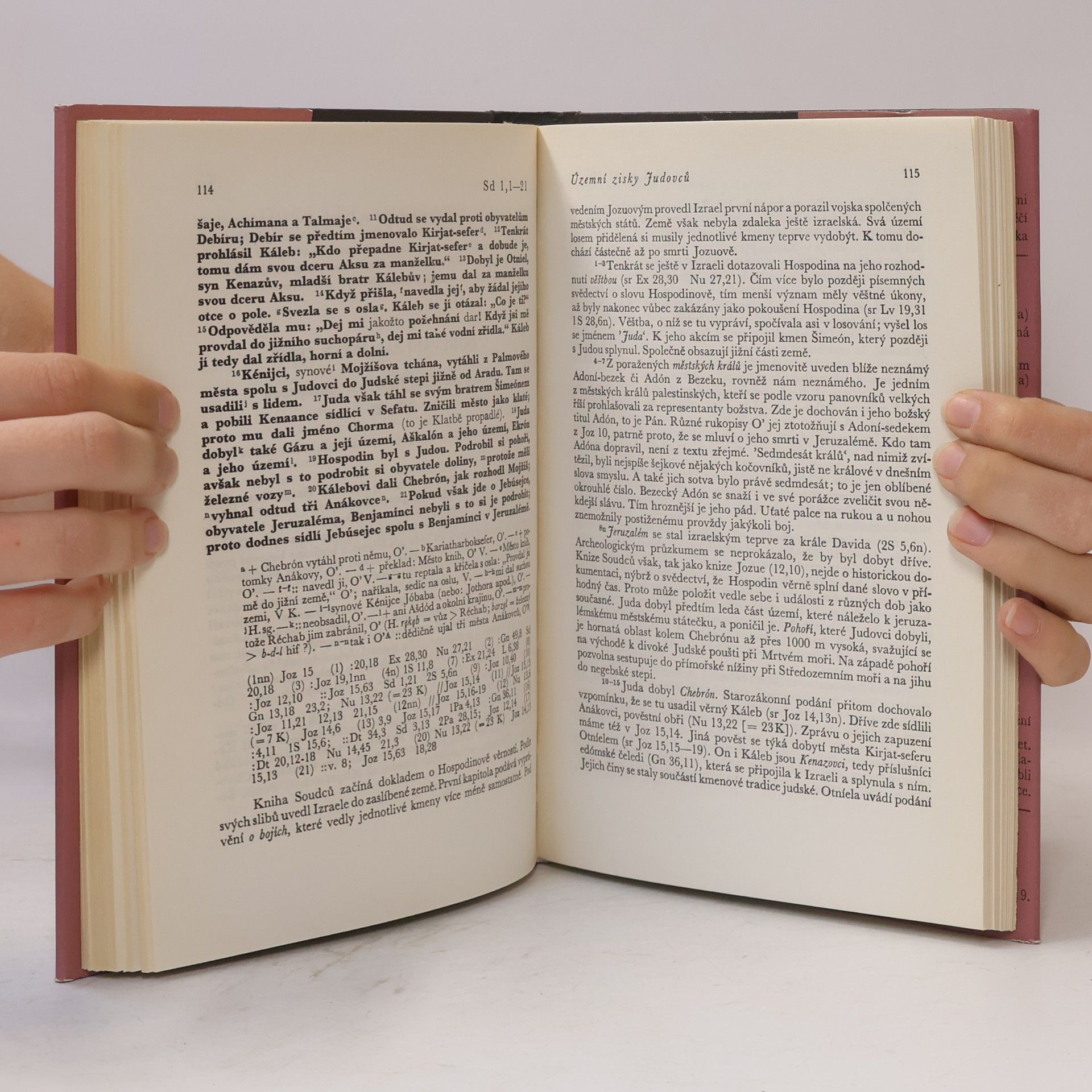 Autorenkollektiv Starý zákon. Překlad s výkladem. Nový překlad Písma svatého. 4, Jozue - Soudců - Rút